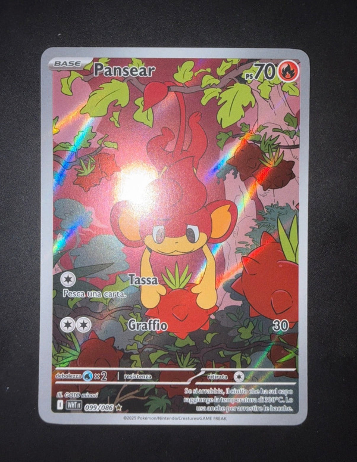 Lotto carte Pokémon Samuele