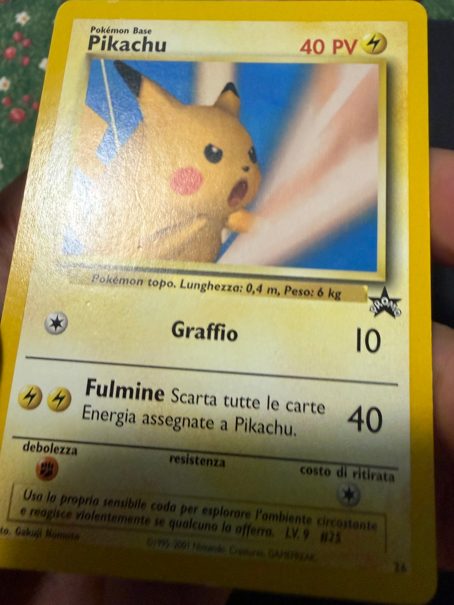 Pikachu 26