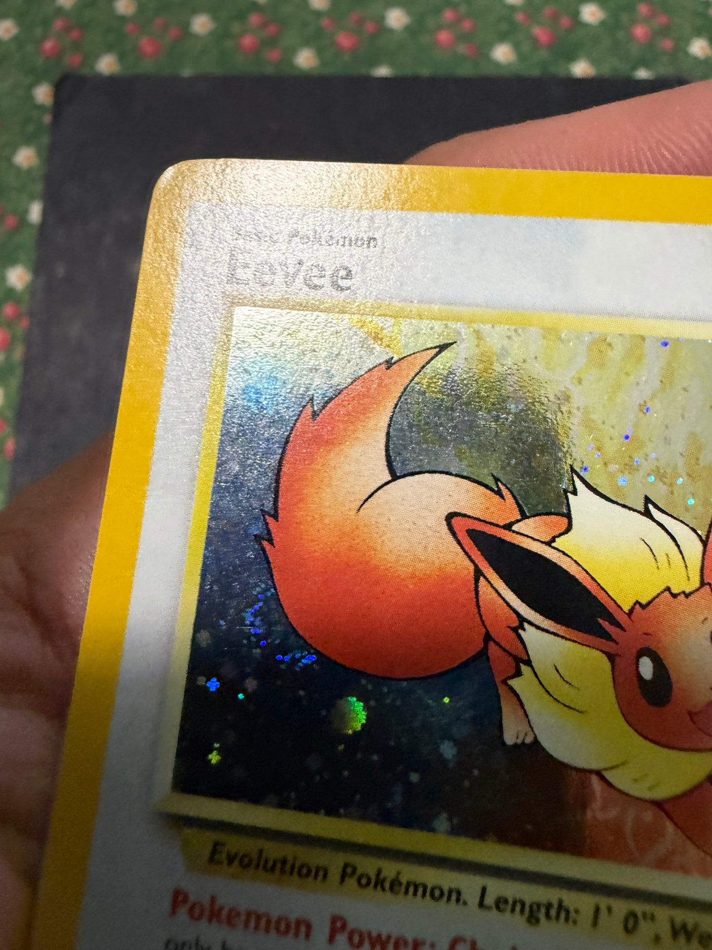 Eevee 35