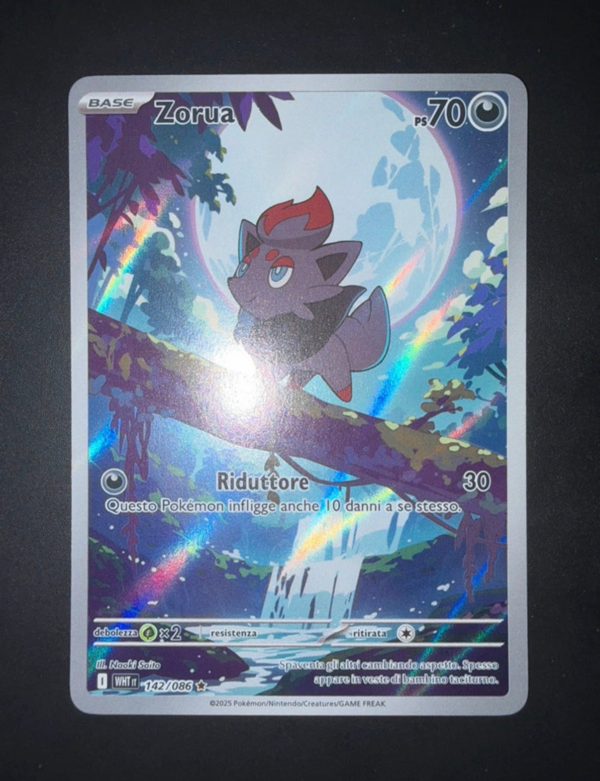 Lotto carte Pokémon Samuele