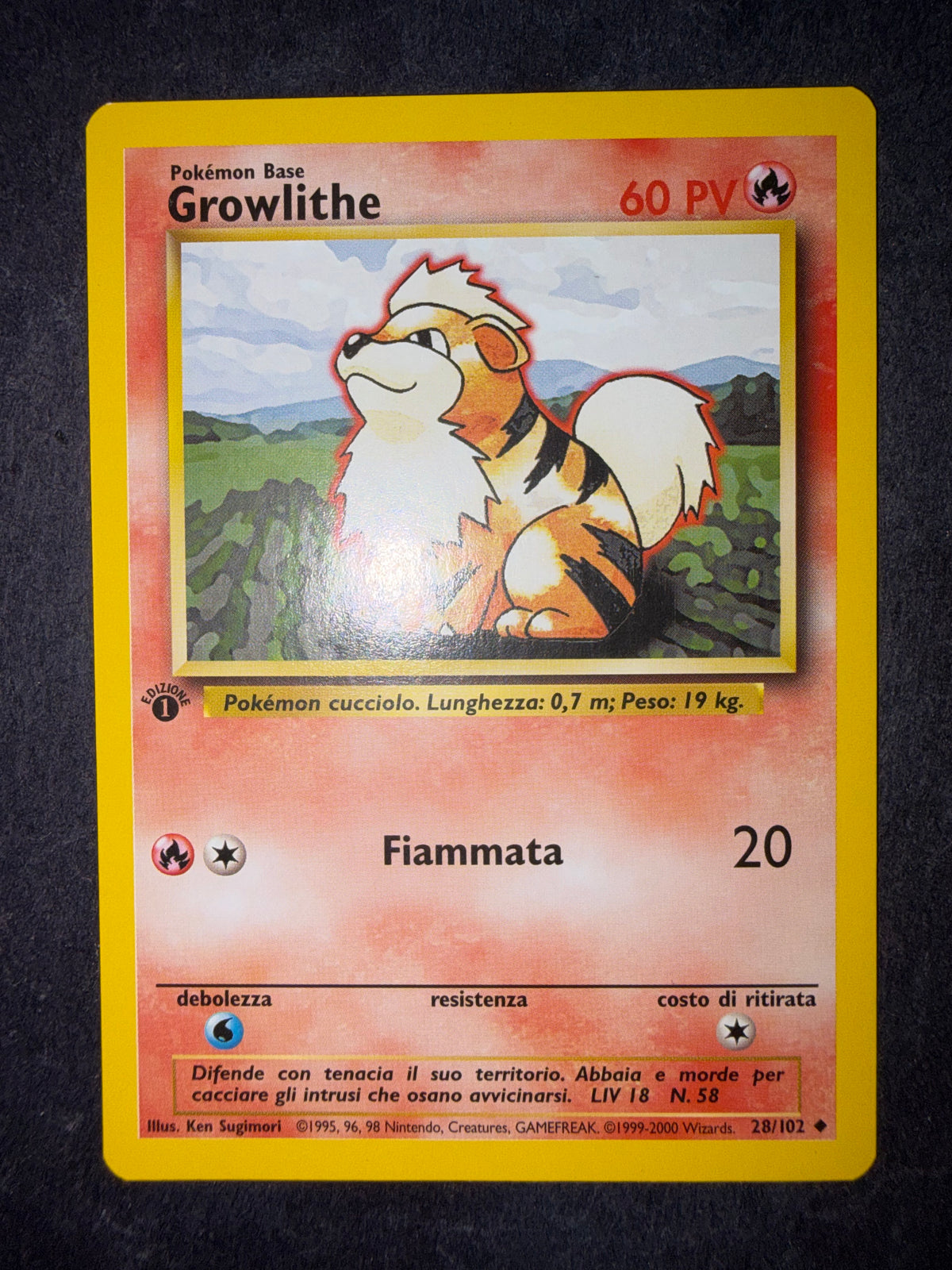 Growlithe 28/102 1ª edizione