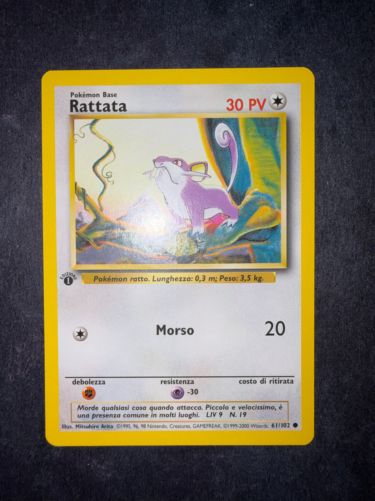 Rattata 61/102 1º edizione