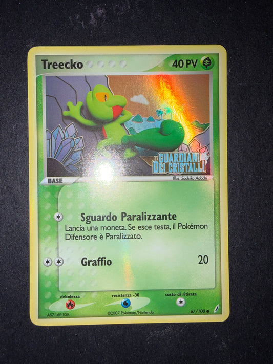 Treecko 67/100 stamped