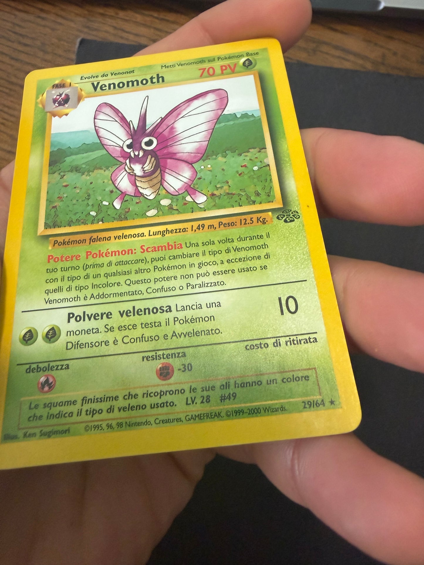 Venomoth (29/64)