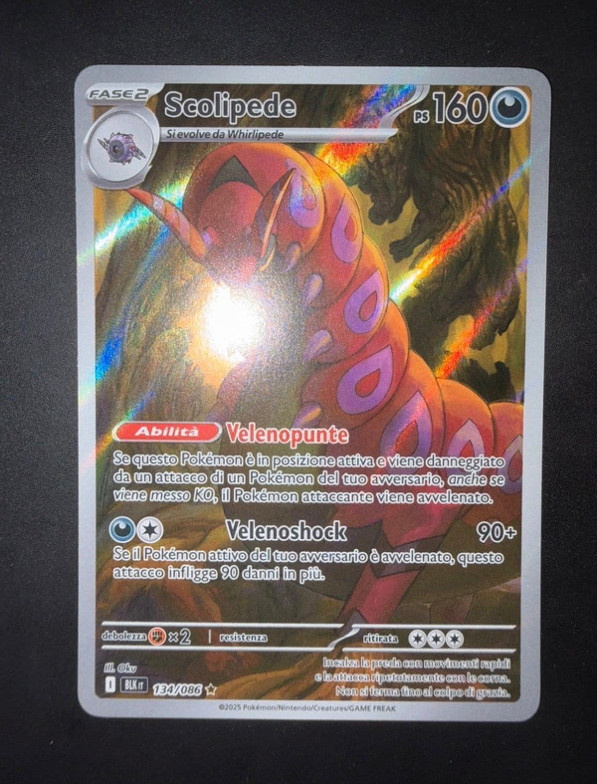 Lotto carte Pokémon Samuele
