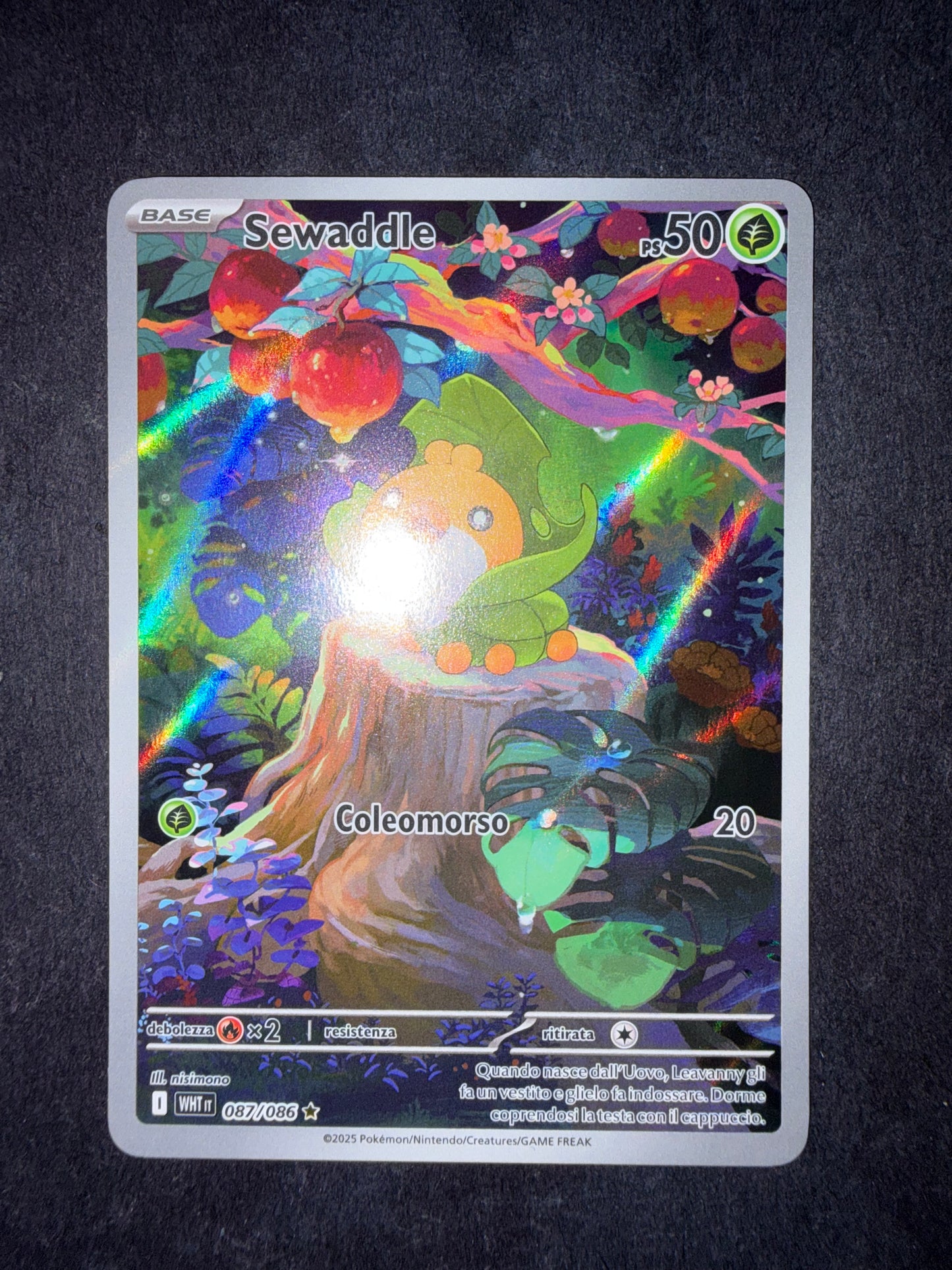 Sewaddle 087/086