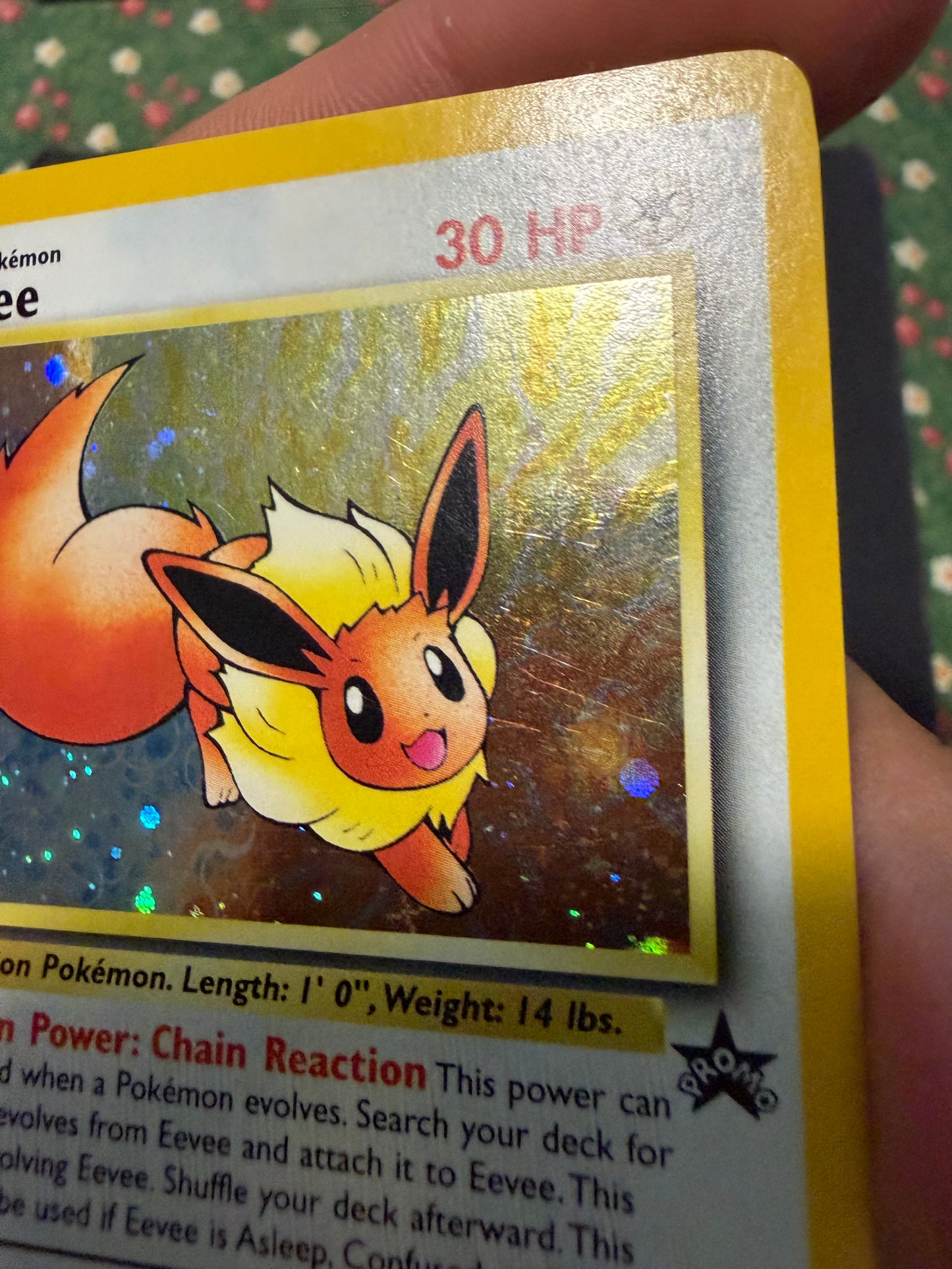 Eevee 35