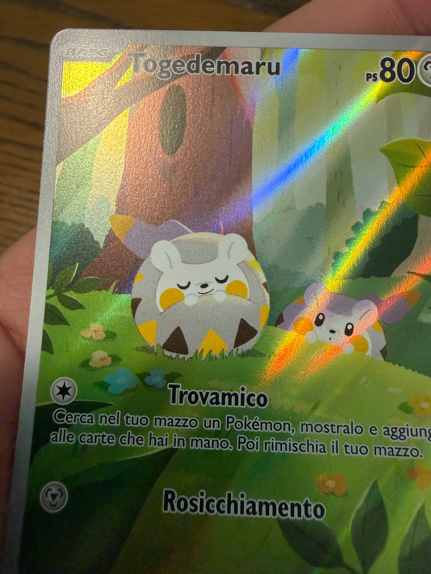 Togedemaru 104/094
