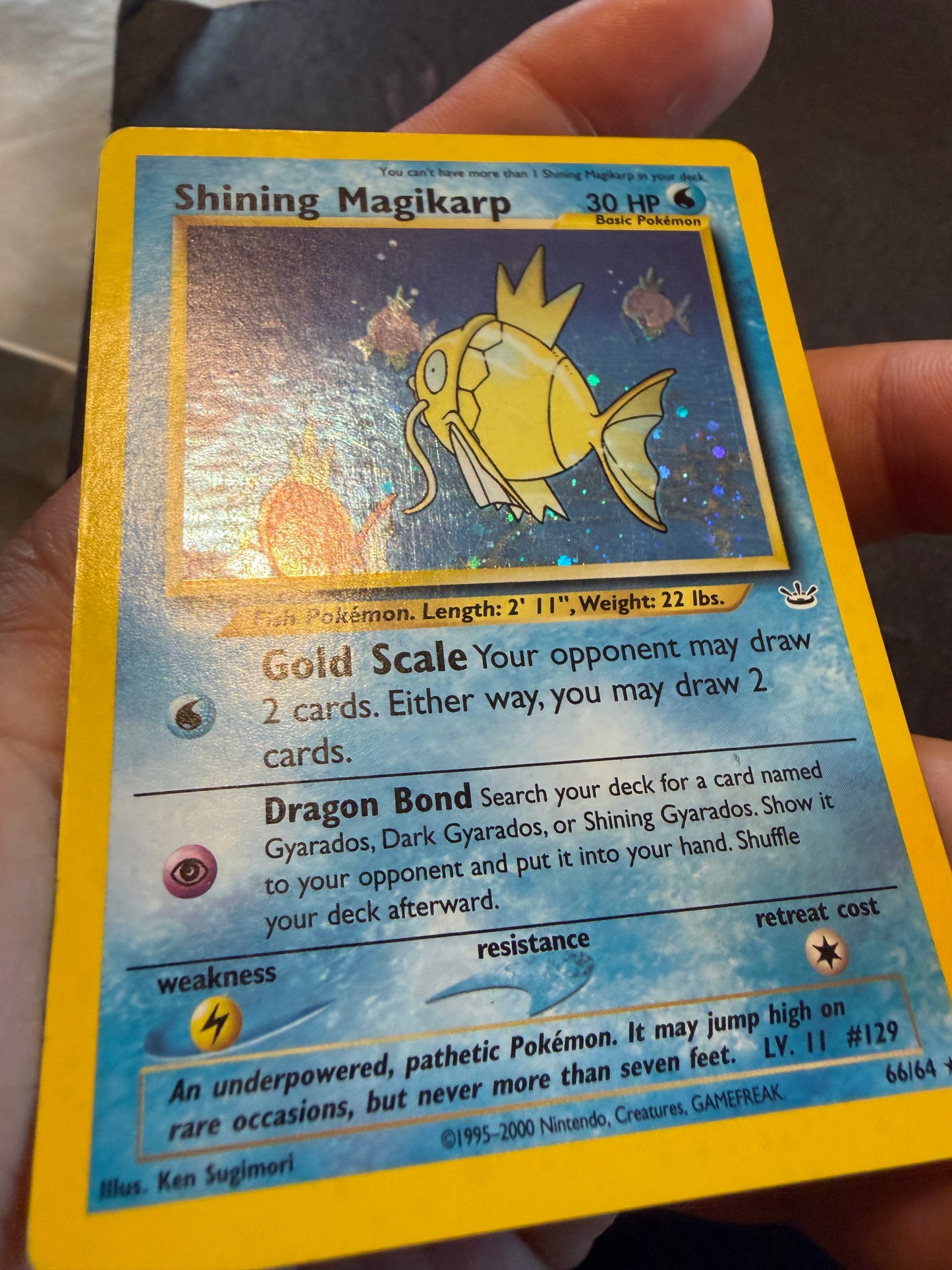 Shining Magikarp 66/64