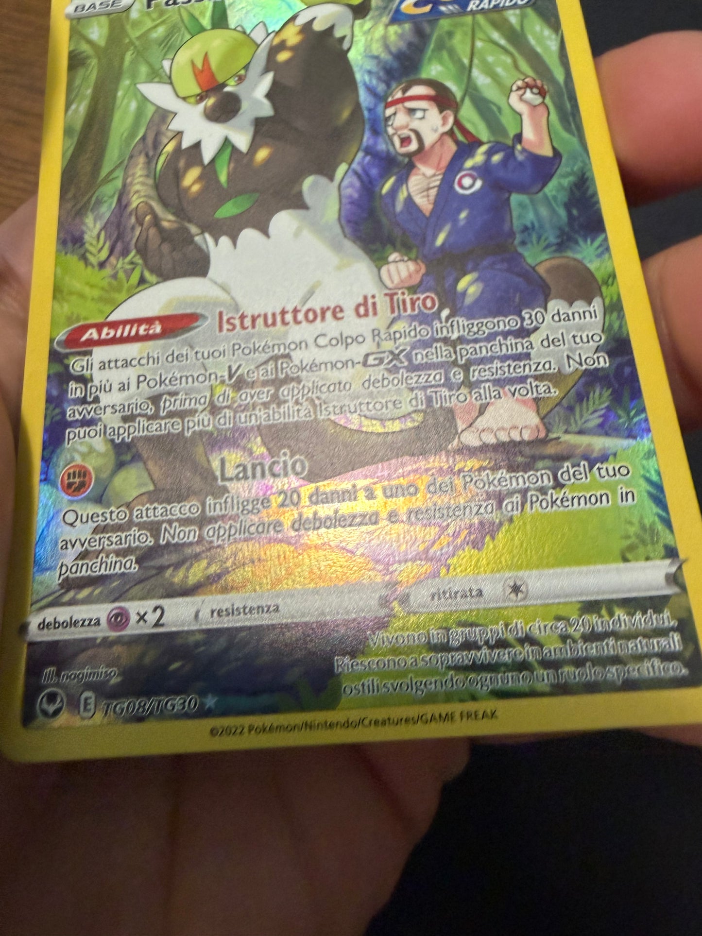 Passimian (Holo Rare | TG08/TG30)