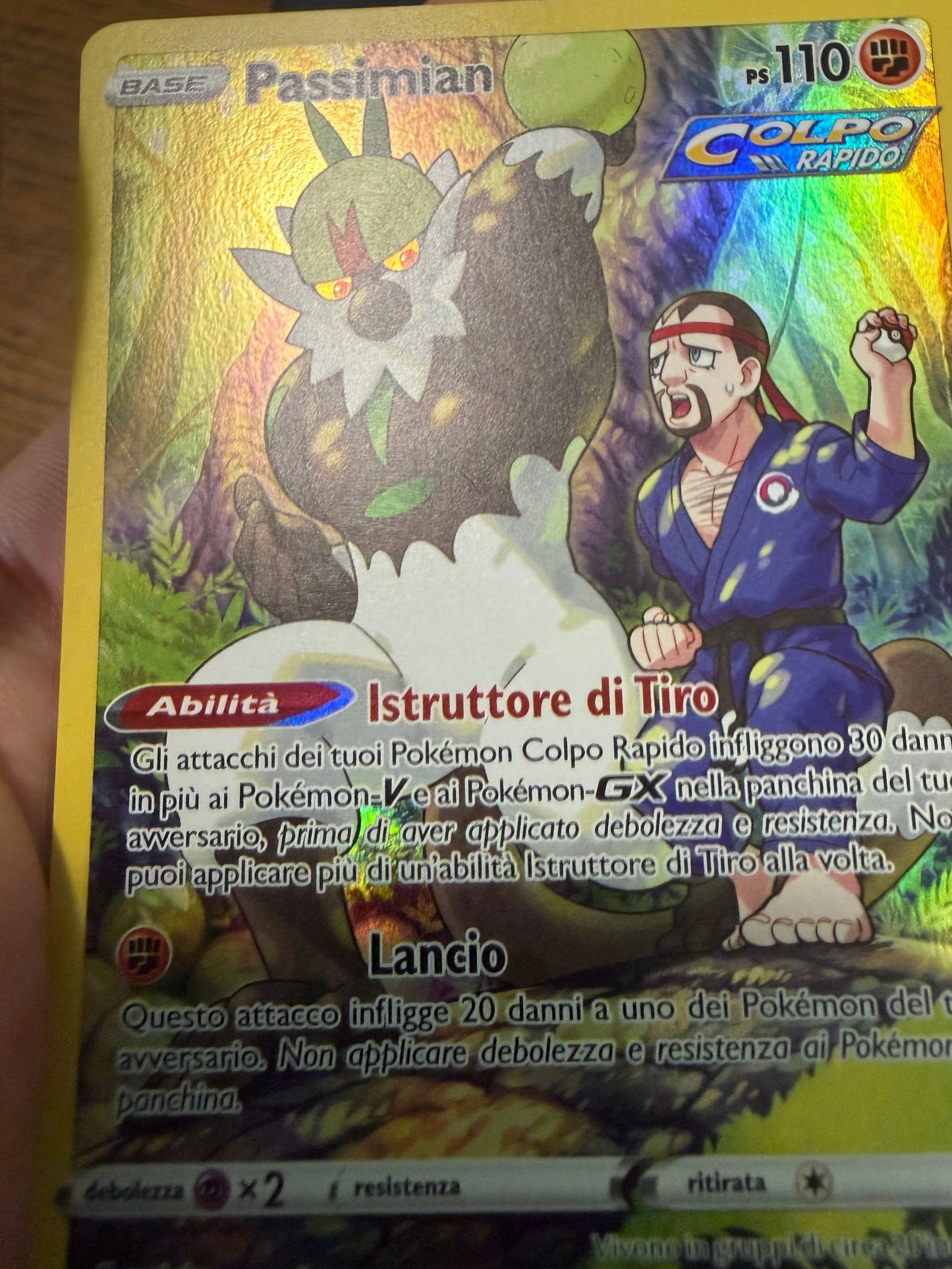 Passimian (Holo Rare | TG08/TG30)
