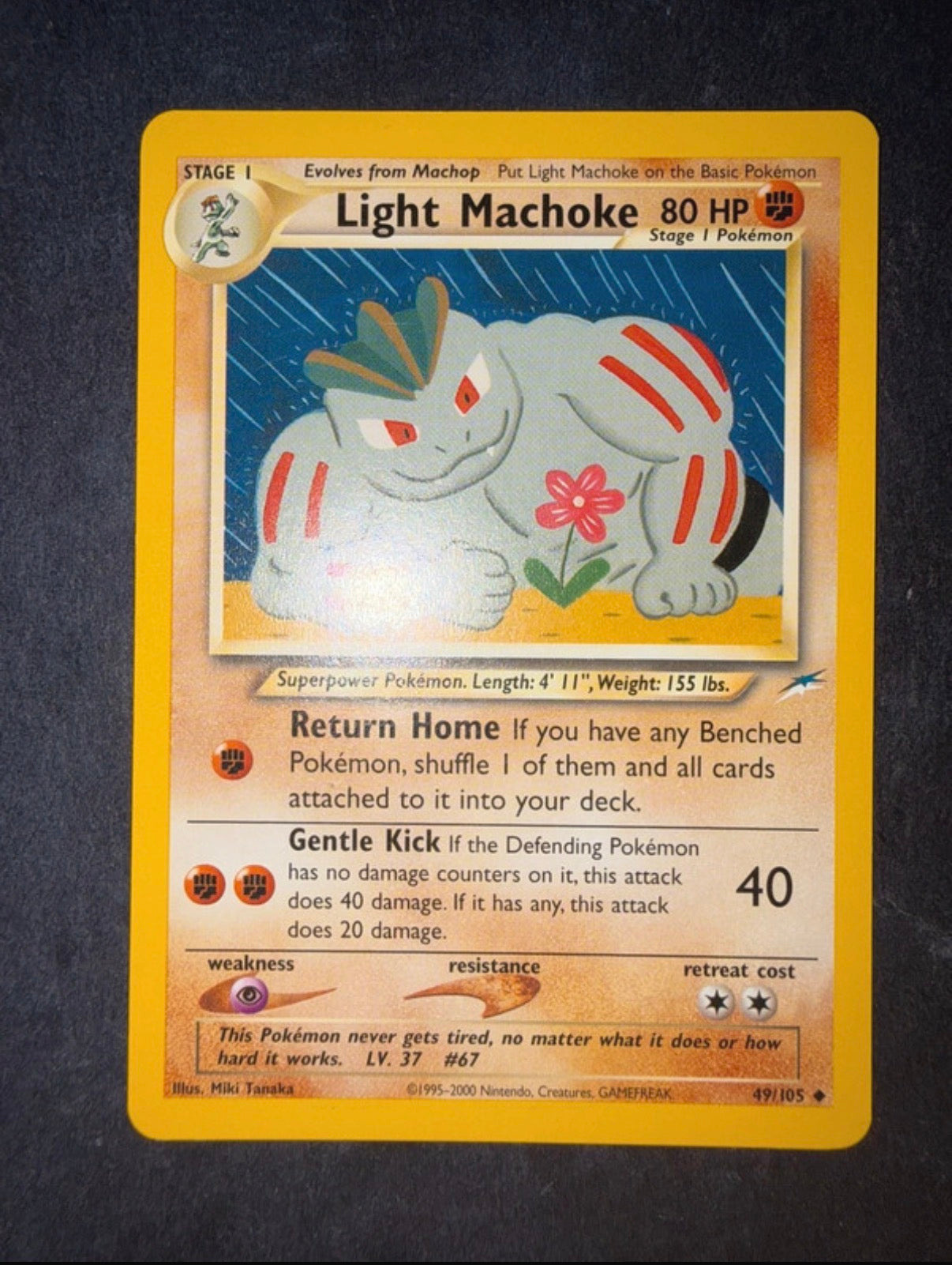 Lotto Pokemon