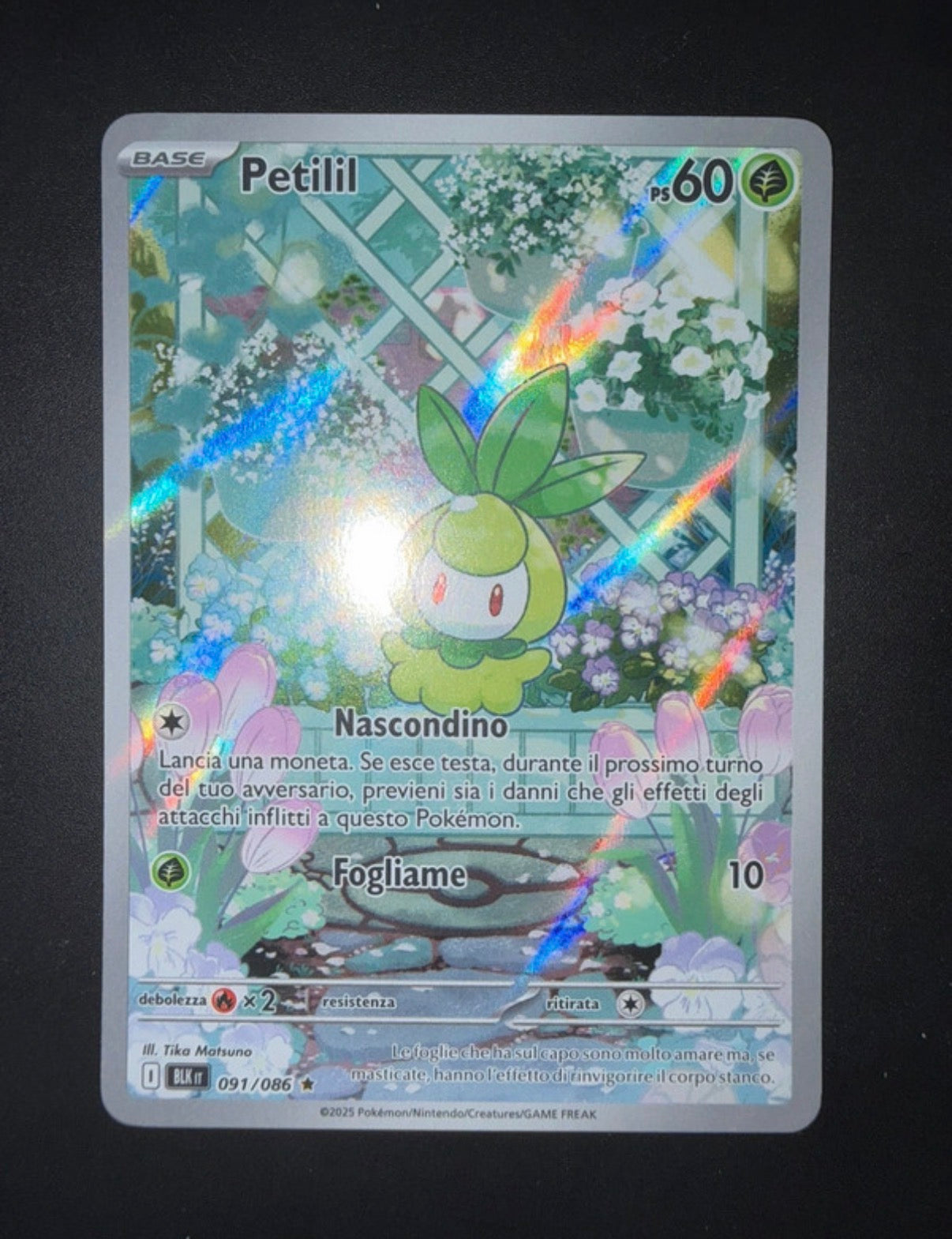 Lotto carte Pokémon Samuele