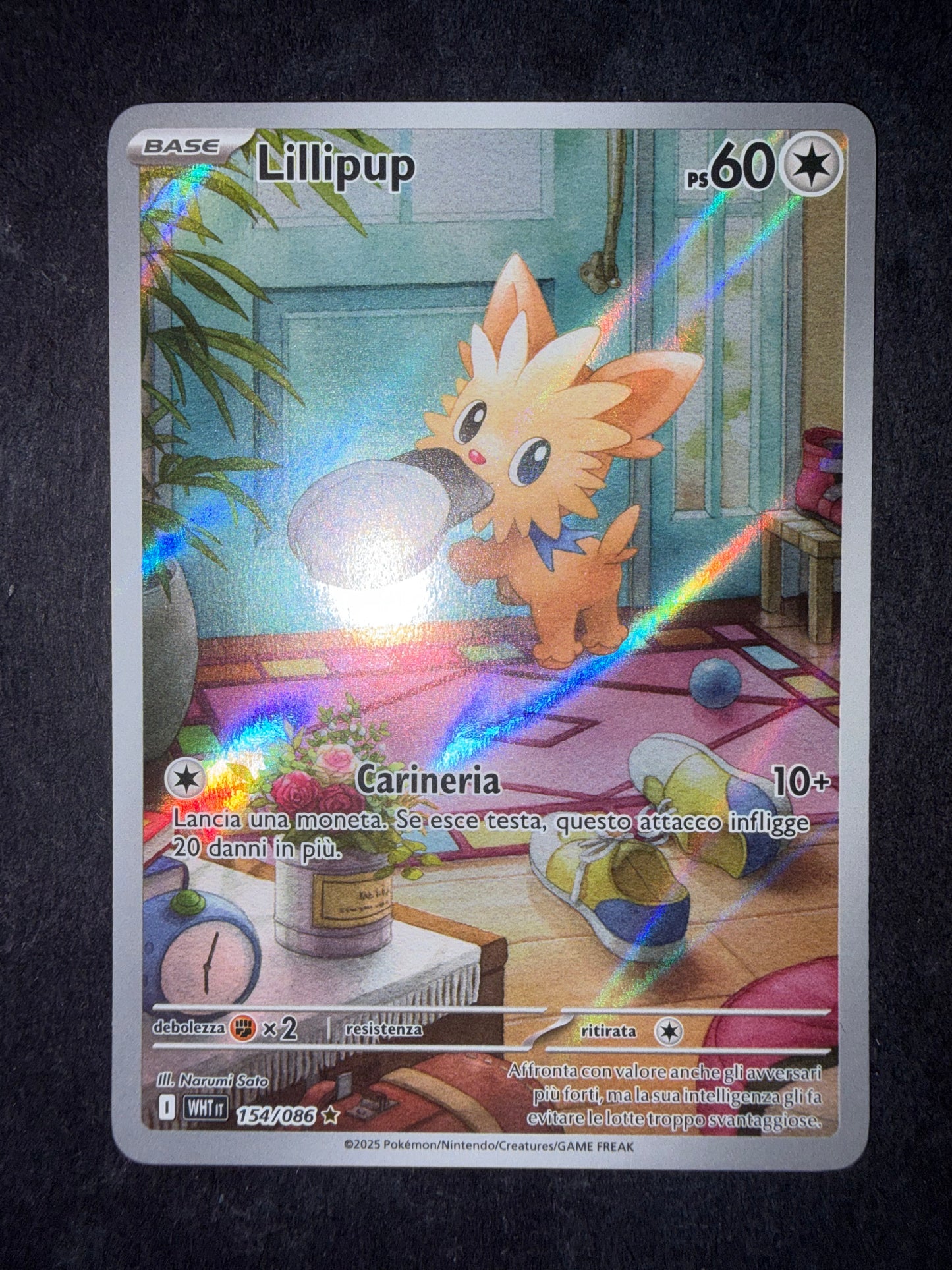 Lillipup 154/086