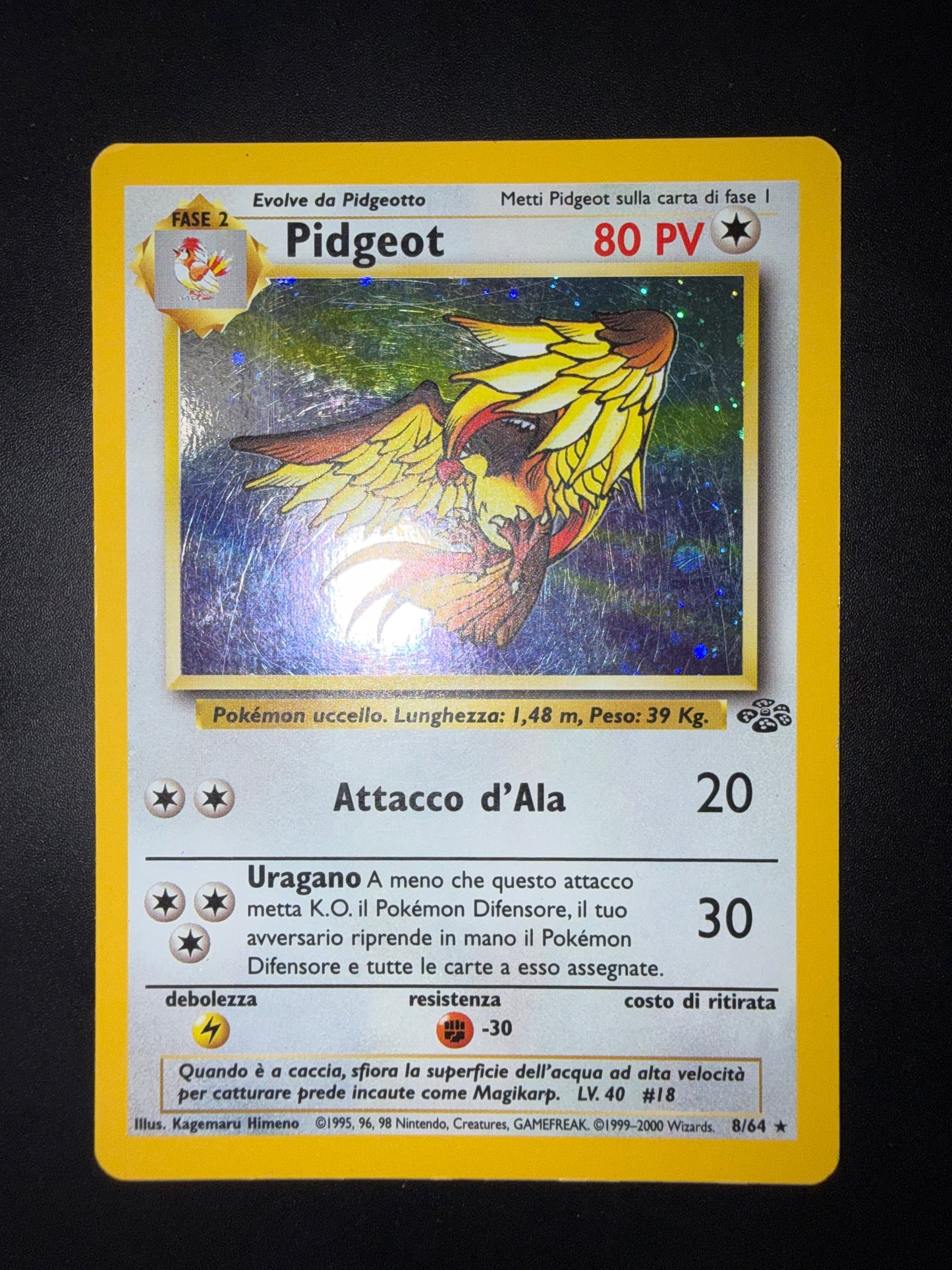 Pidgeot Scyther Jungle