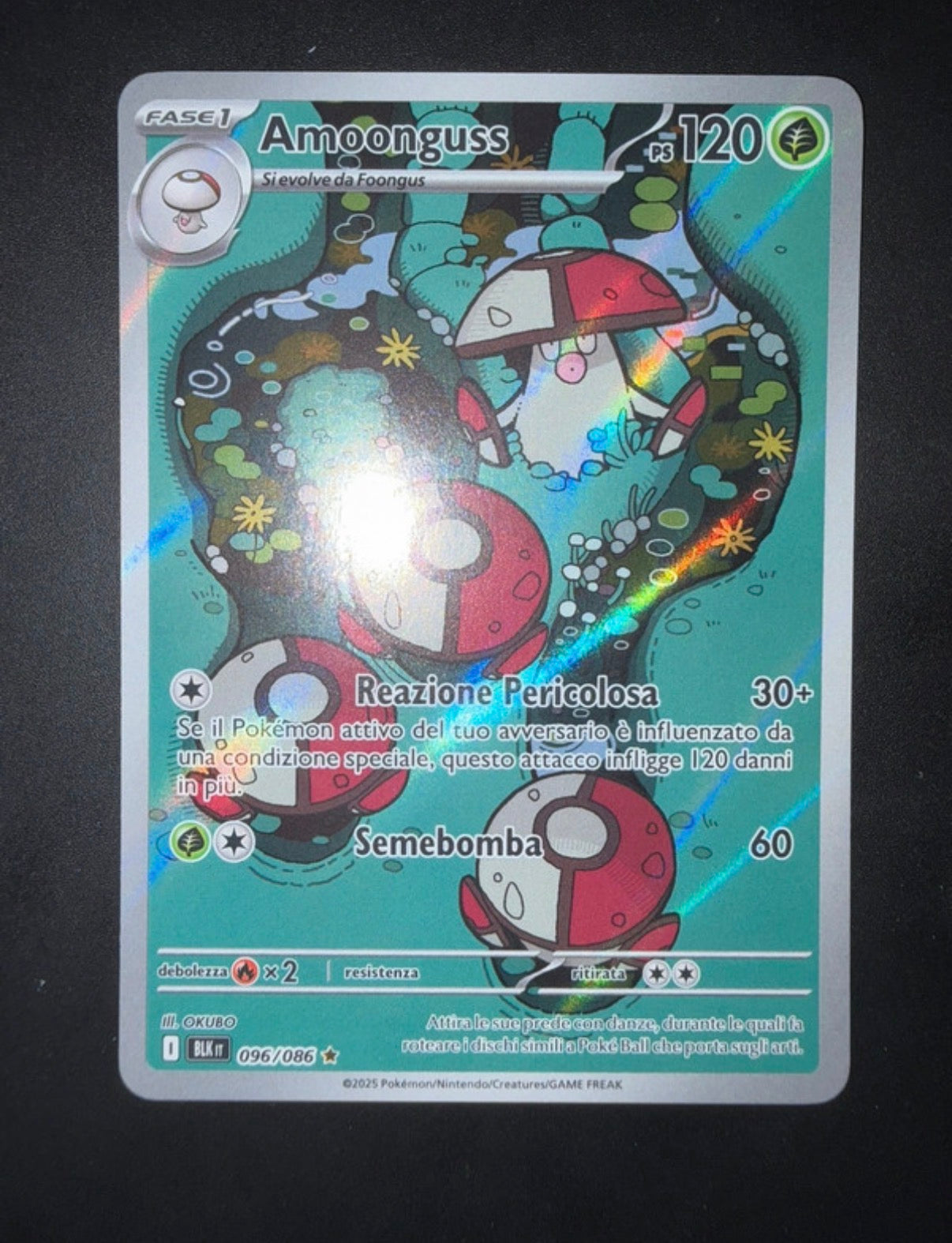 Lotto carte Pokémon Samuele