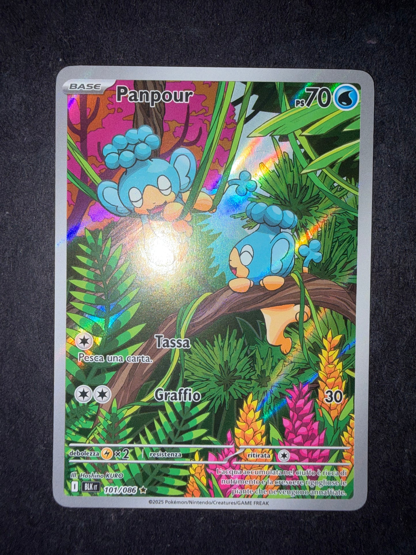 Panpour 101/086