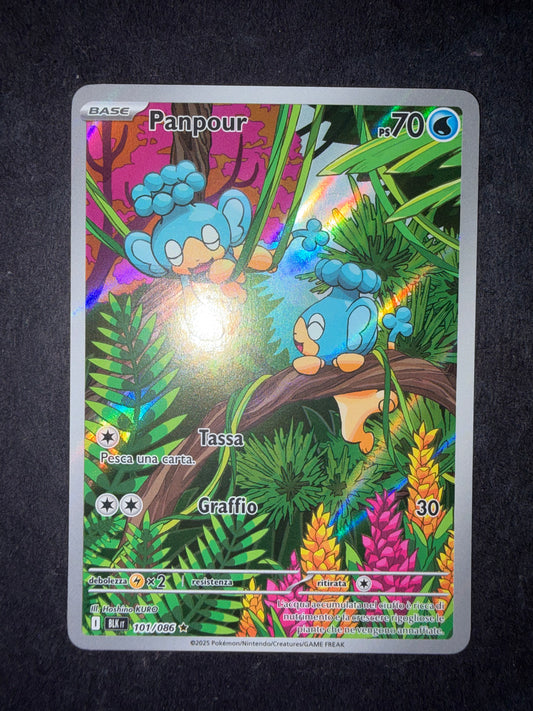 Panpour 101/086