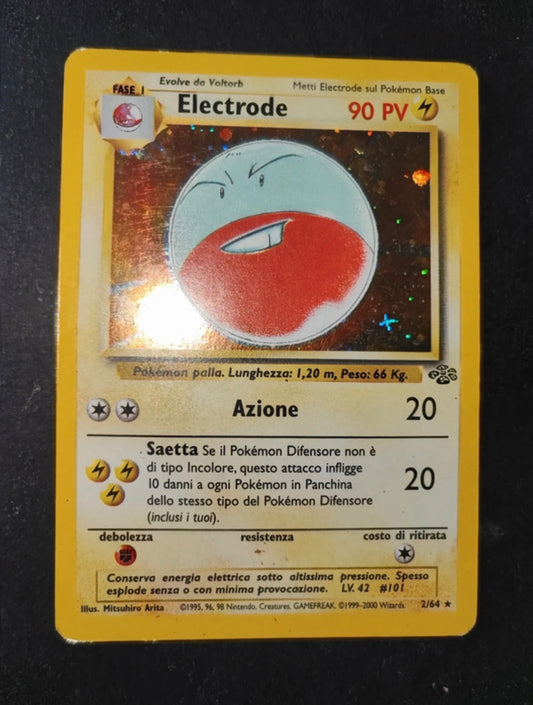 Lotto Stefano
