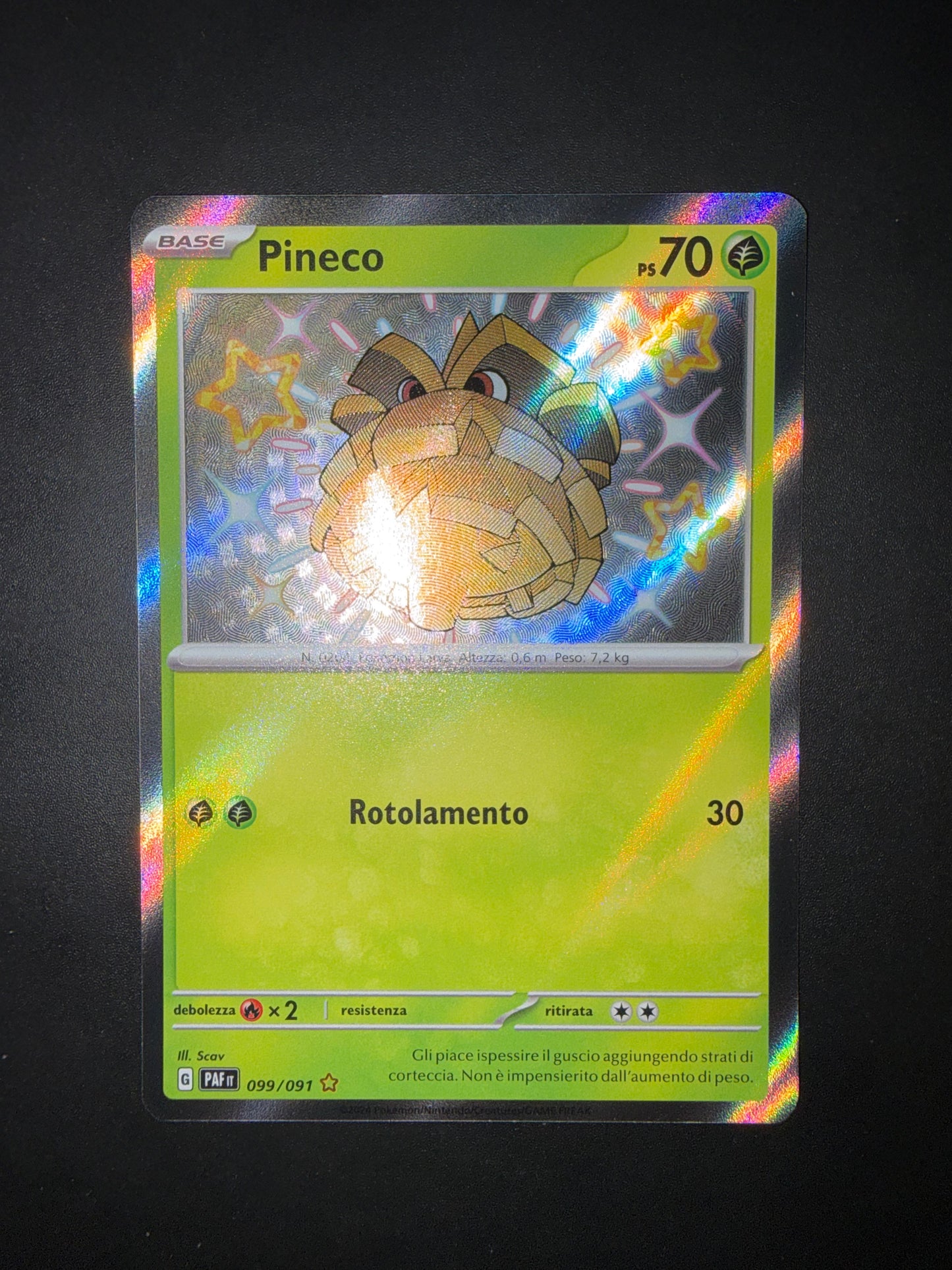 Pineco 099/081