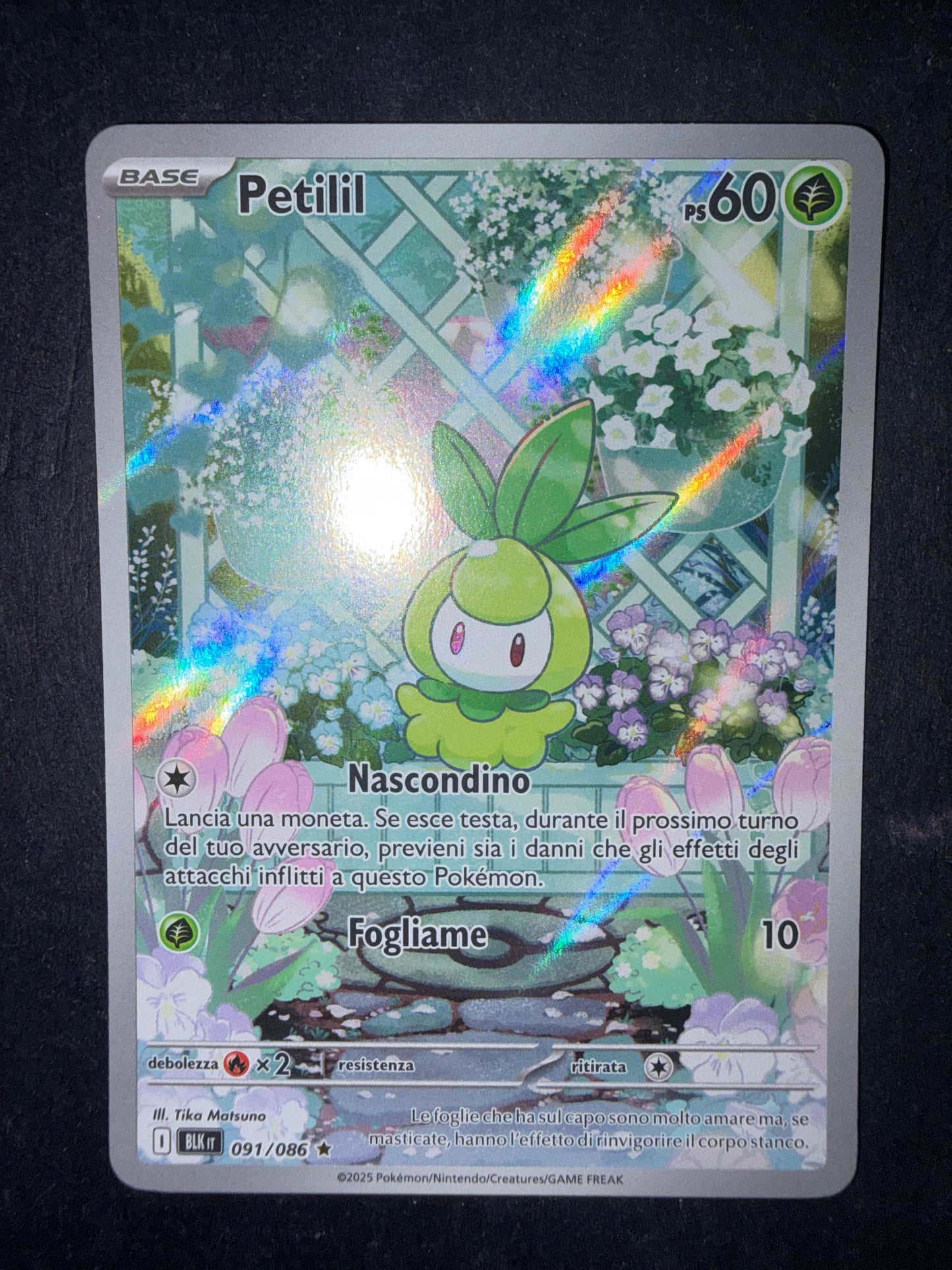 Petilil 091/086