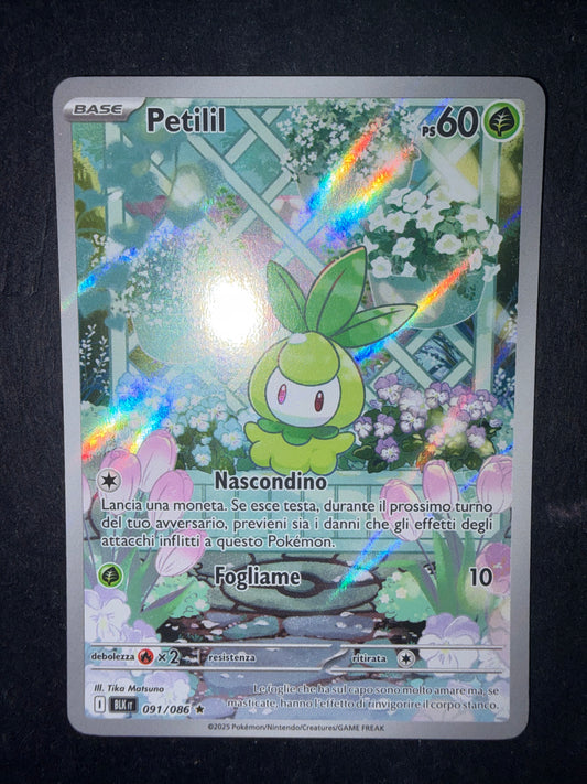 Petilil 091/086