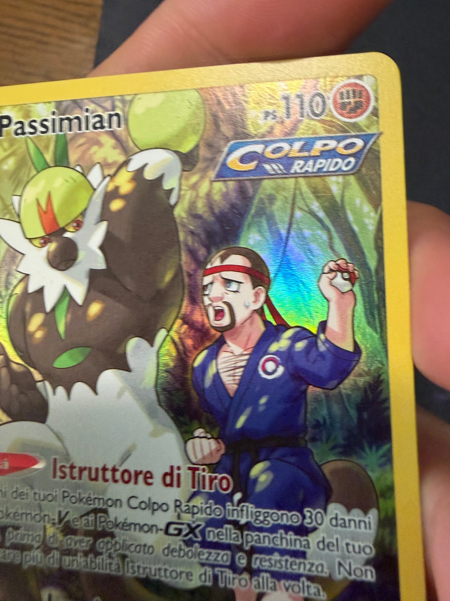 Passimian (Holo Rare | TG08/TG30)