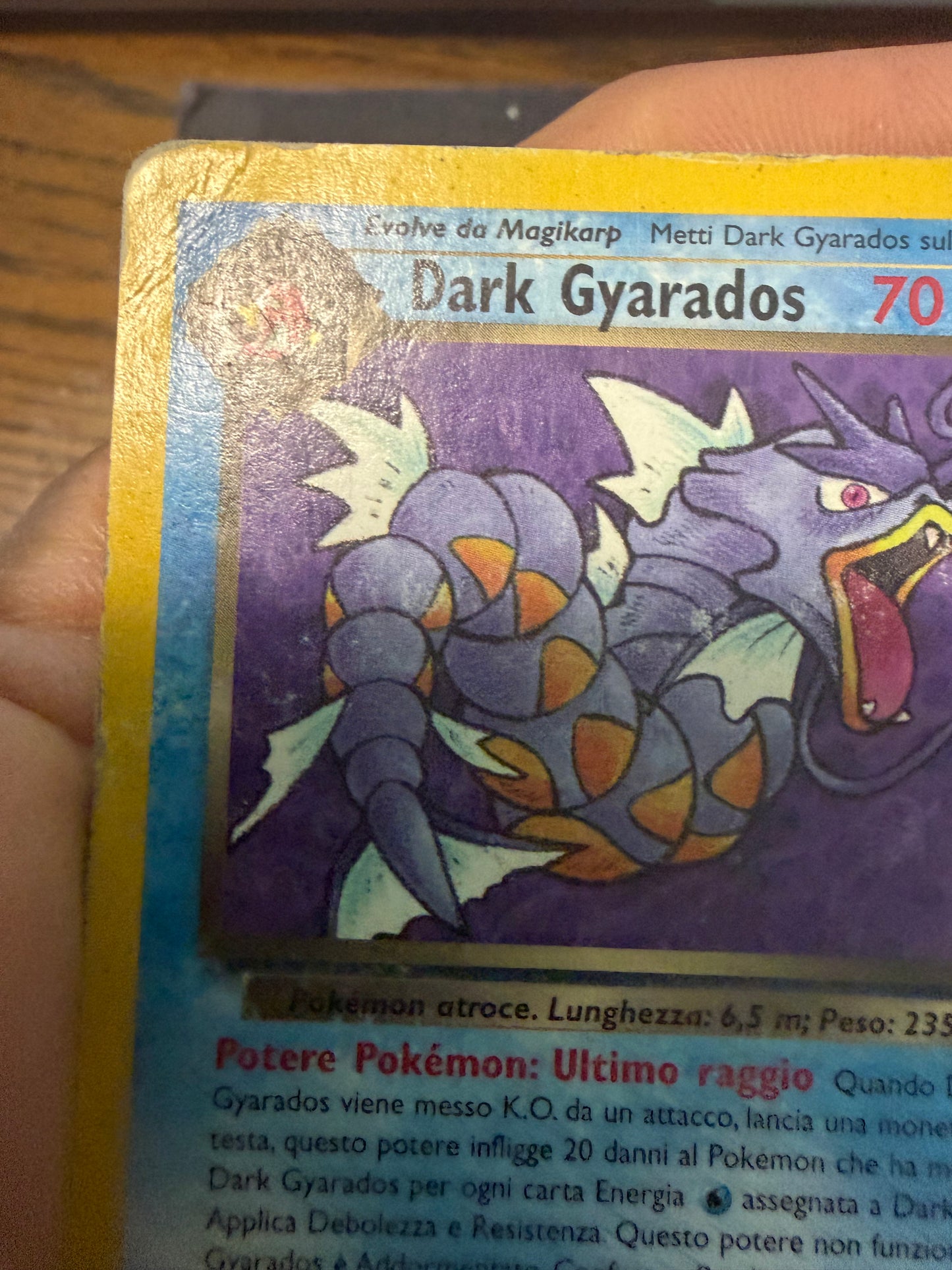 Dark Gyarados 25/82