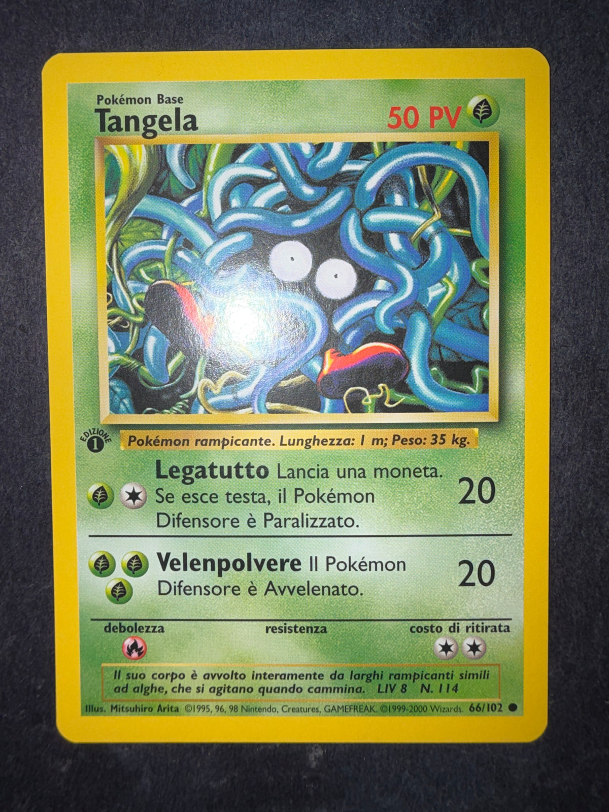 Tangela 66/102 1º edizione