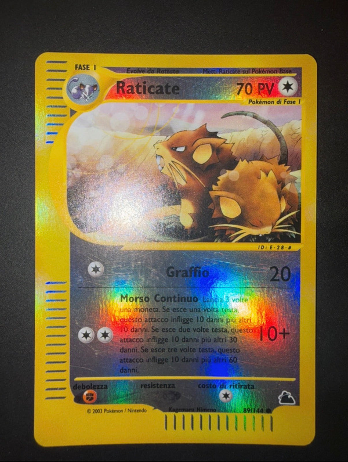Lotto skyridge Luca