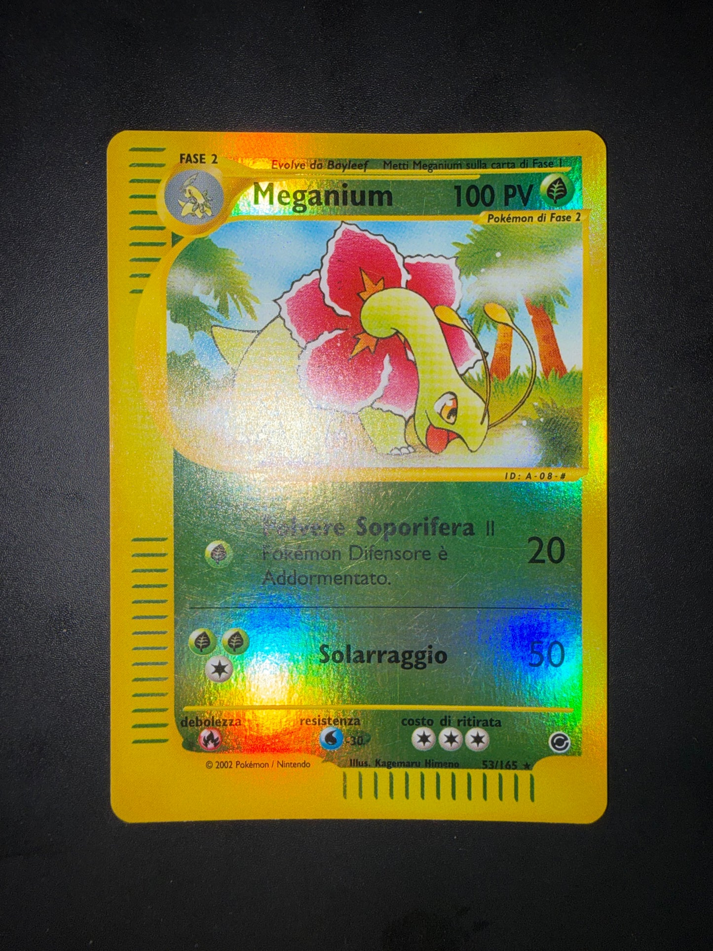 Meganium 53/165 reverse Holo