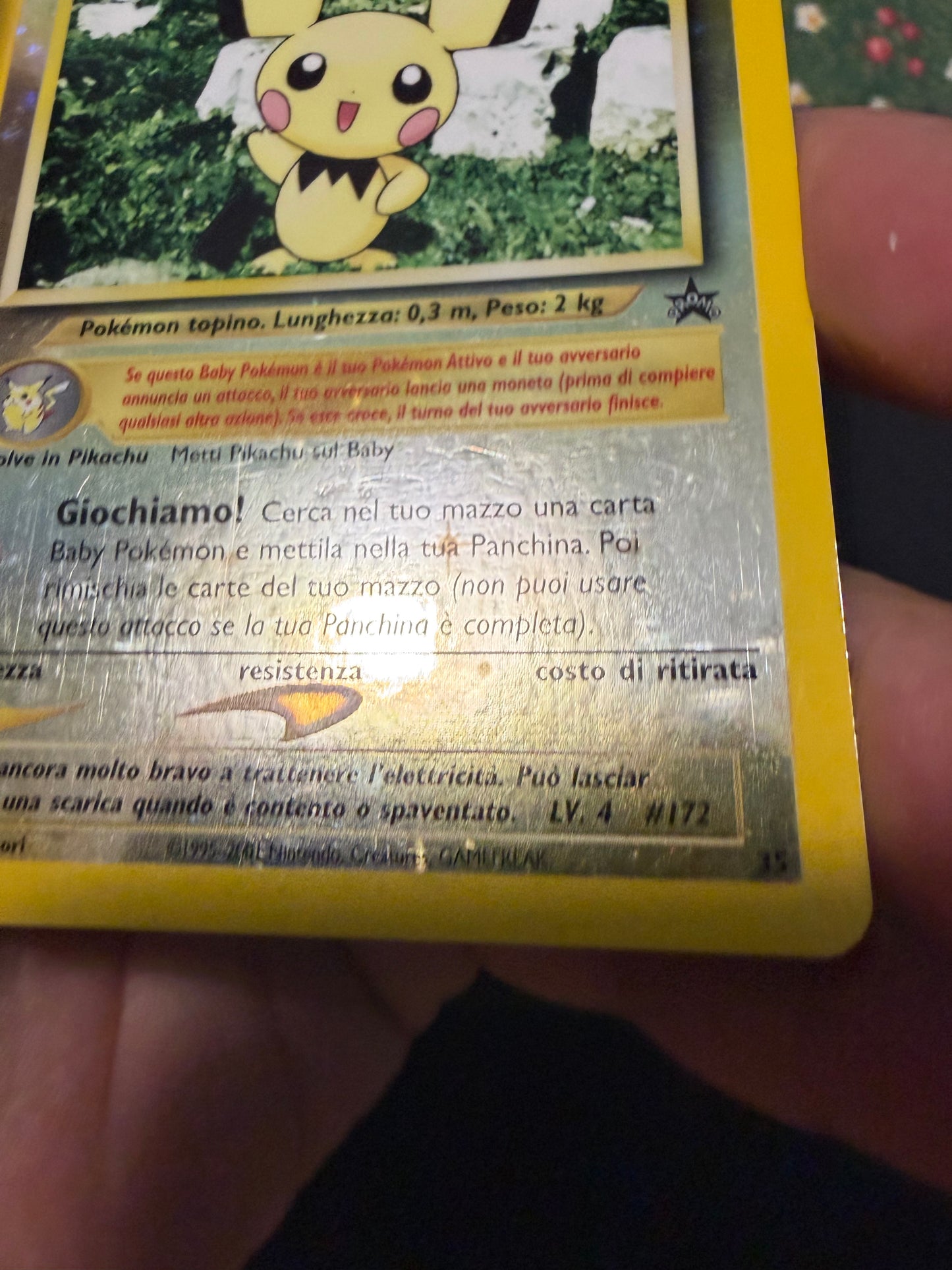 Pichu 35
