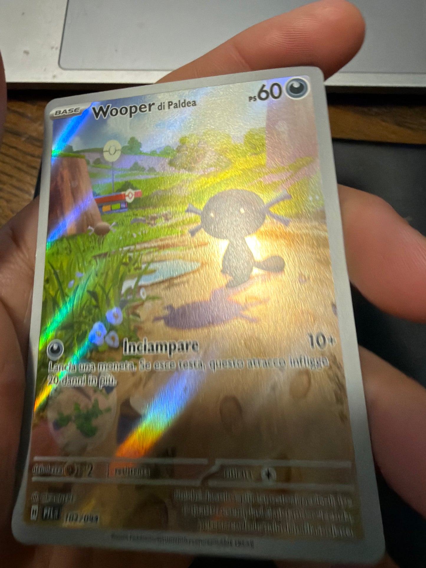 Wooper di Paldea 102/094