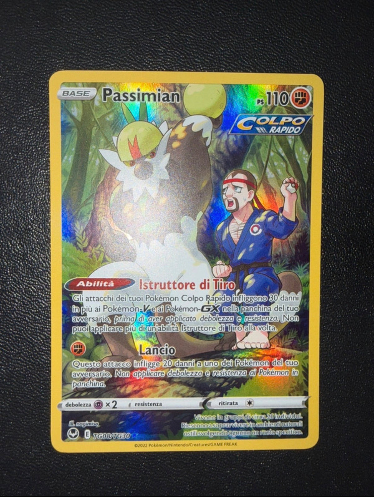 Lotto carte Pokémon