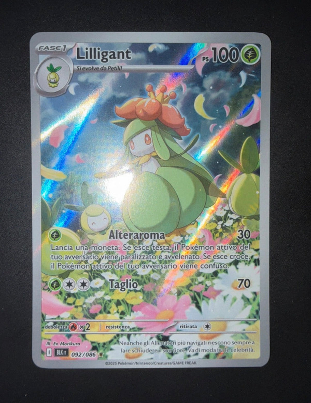 Lotto carte Pokémon Samuele
