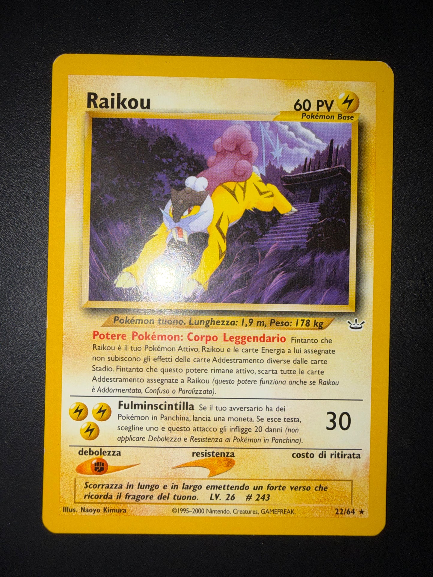 Raikou 22/64
