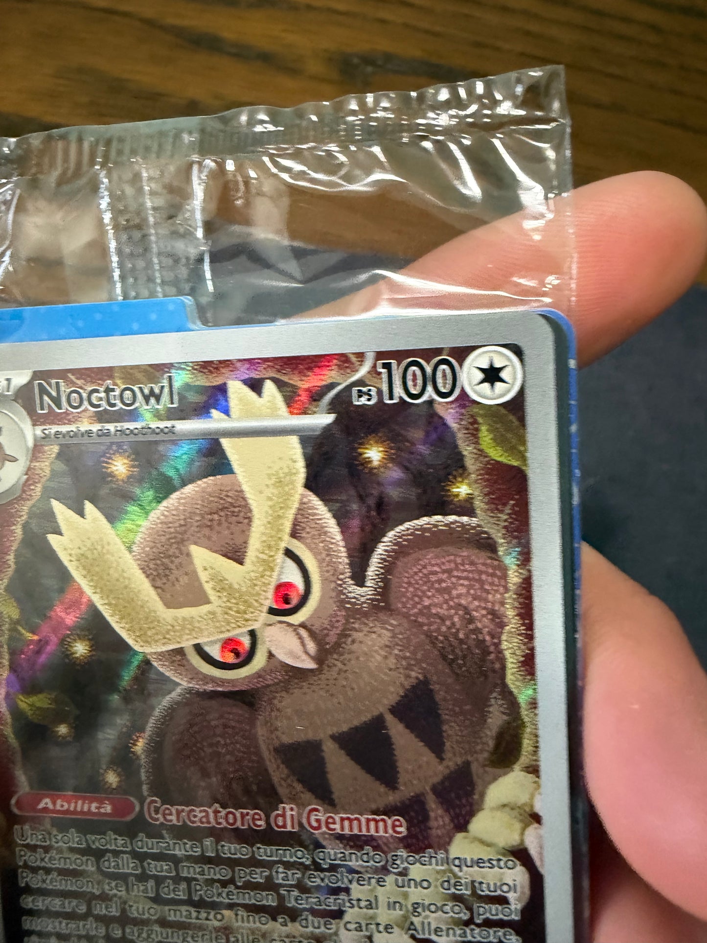 Noctowl(SVP 141)