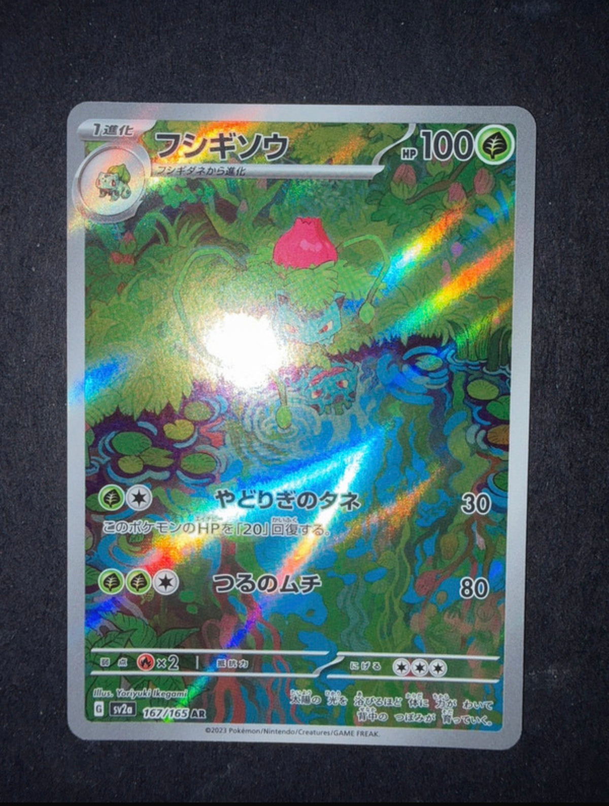Bulbasaur e ivysaur 151