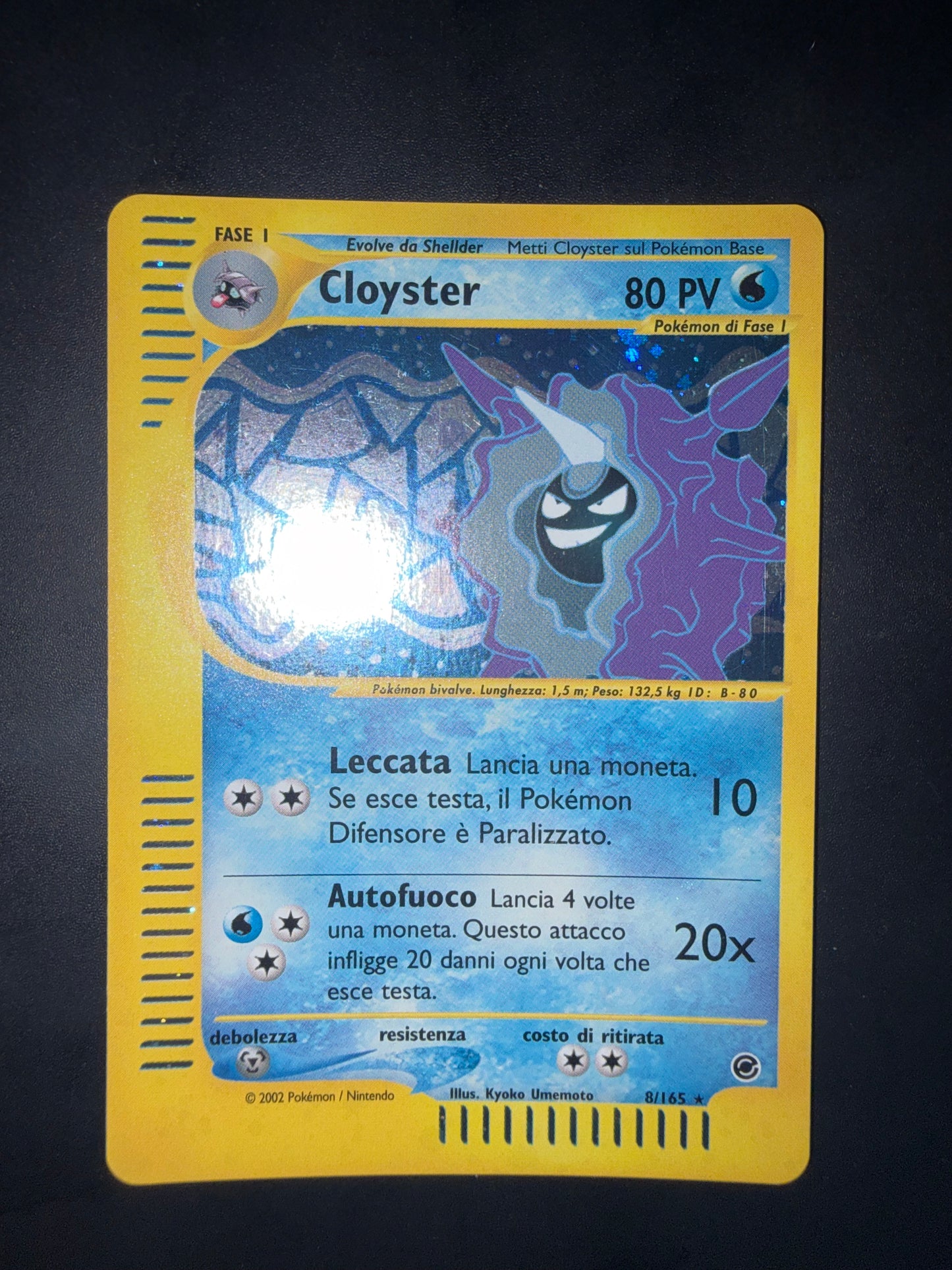 Cloyster Holo 8/165