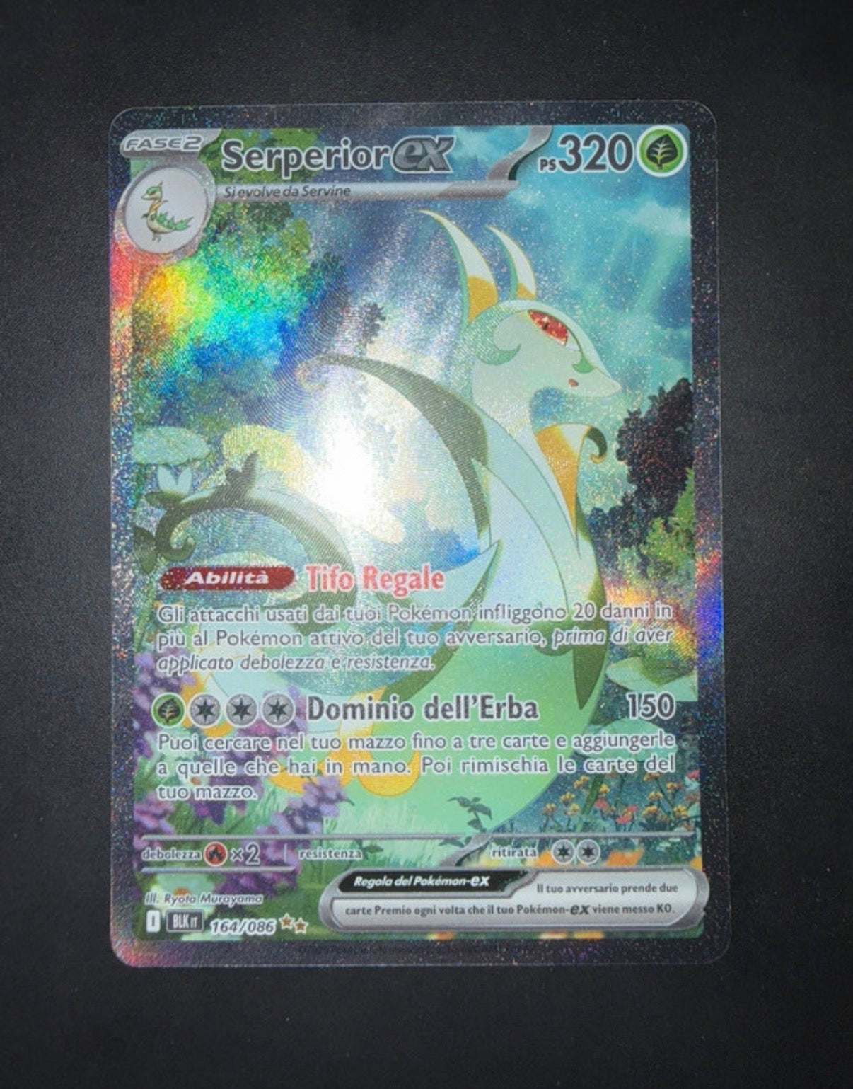 Lotto carte Pokémon Samuele