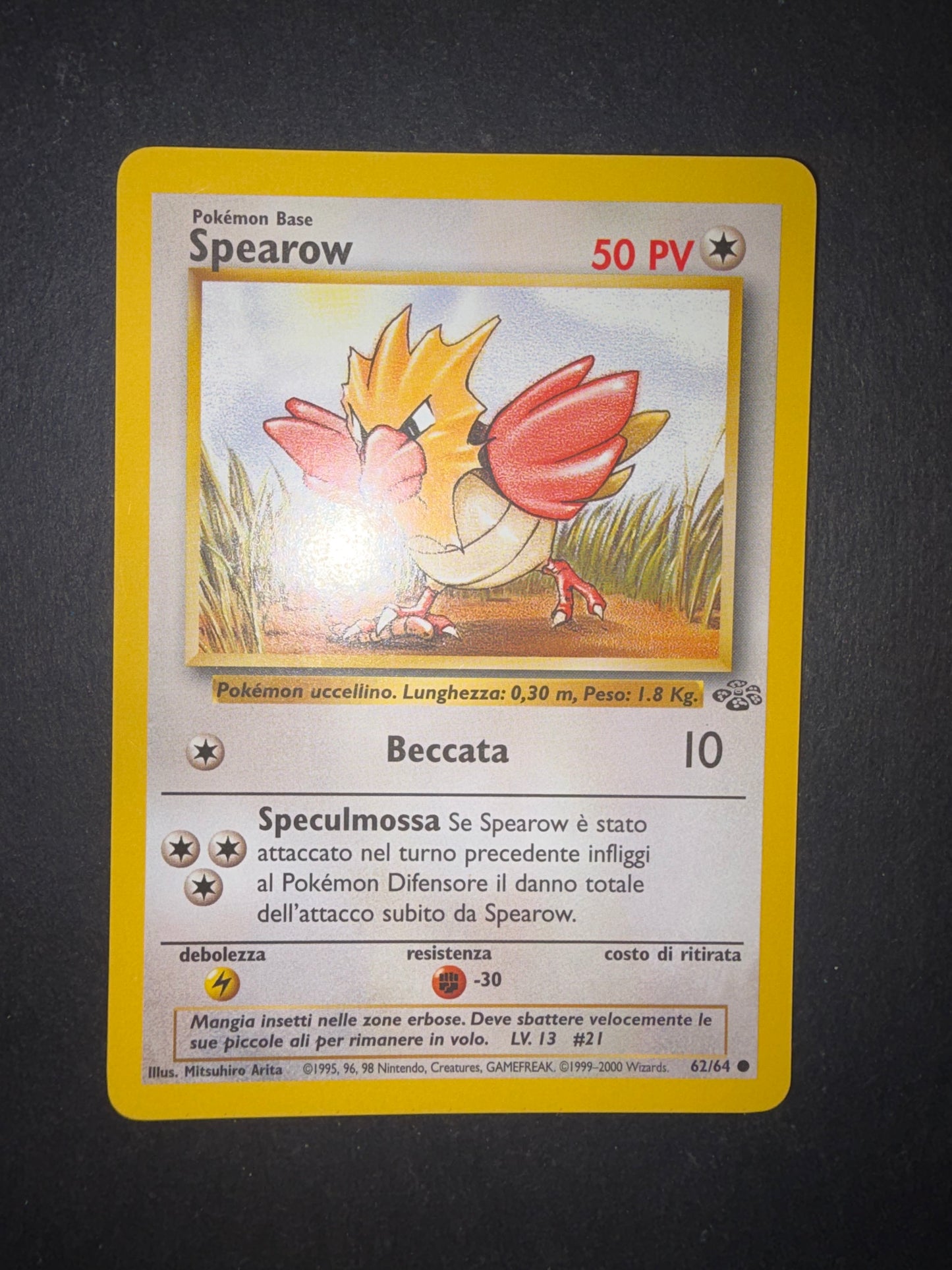 Spearow (62/64)