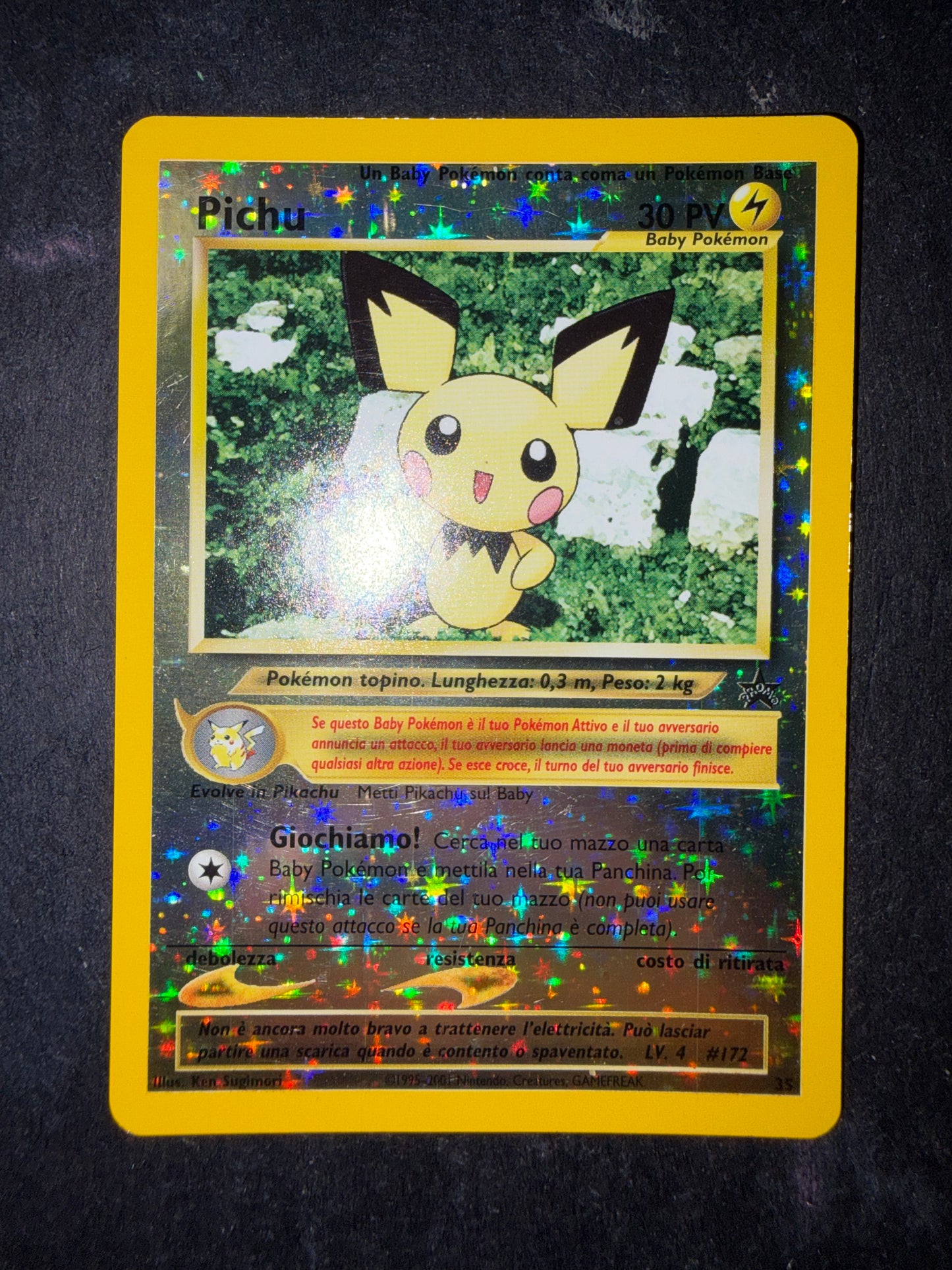 Pichu 35