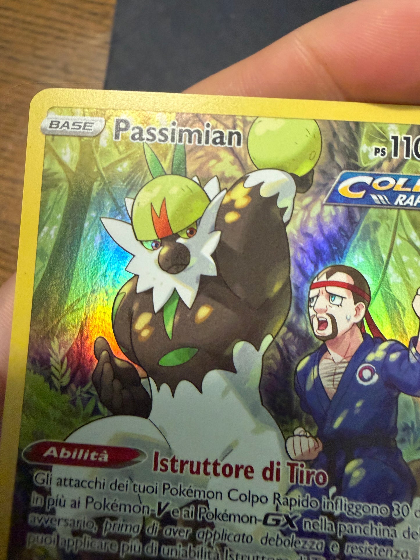 Passimian (Holo Rare | TG08/TG30)