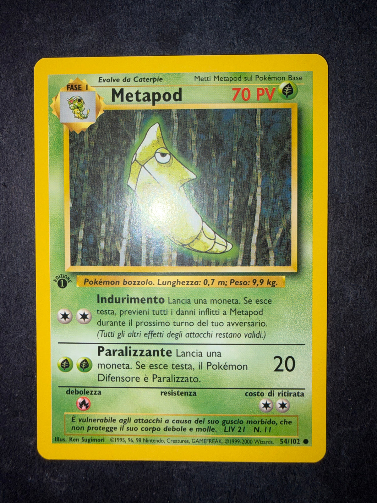 Metapod 54/102 1º edizione