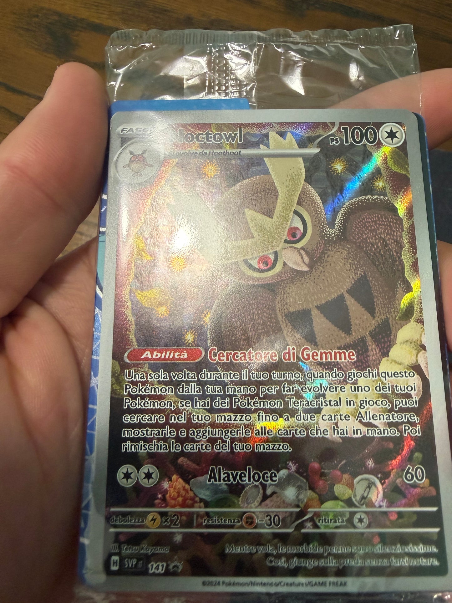 Noctowl(SVP 141)