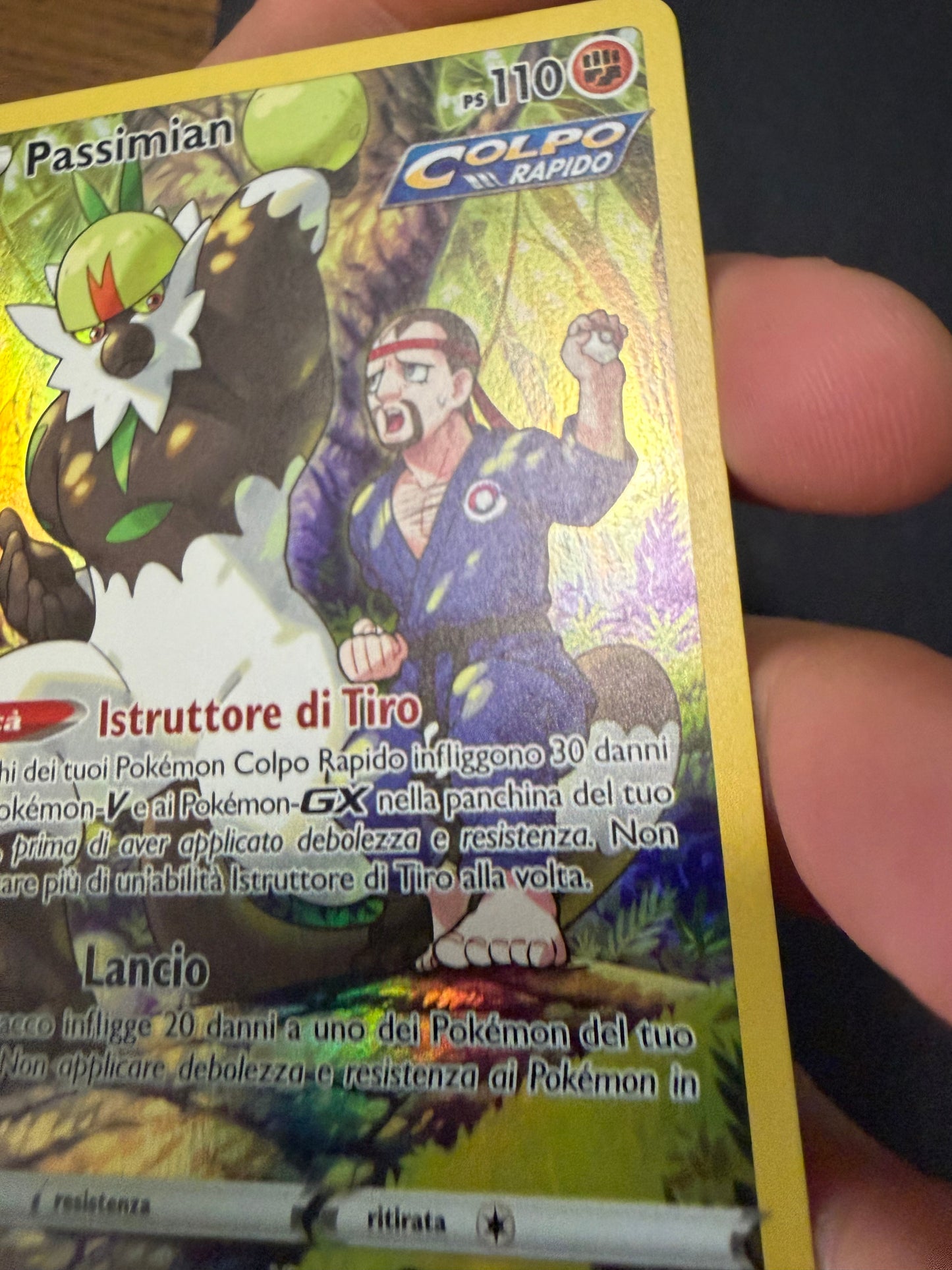 Passimian (Holo Rare | TG08/TG30)