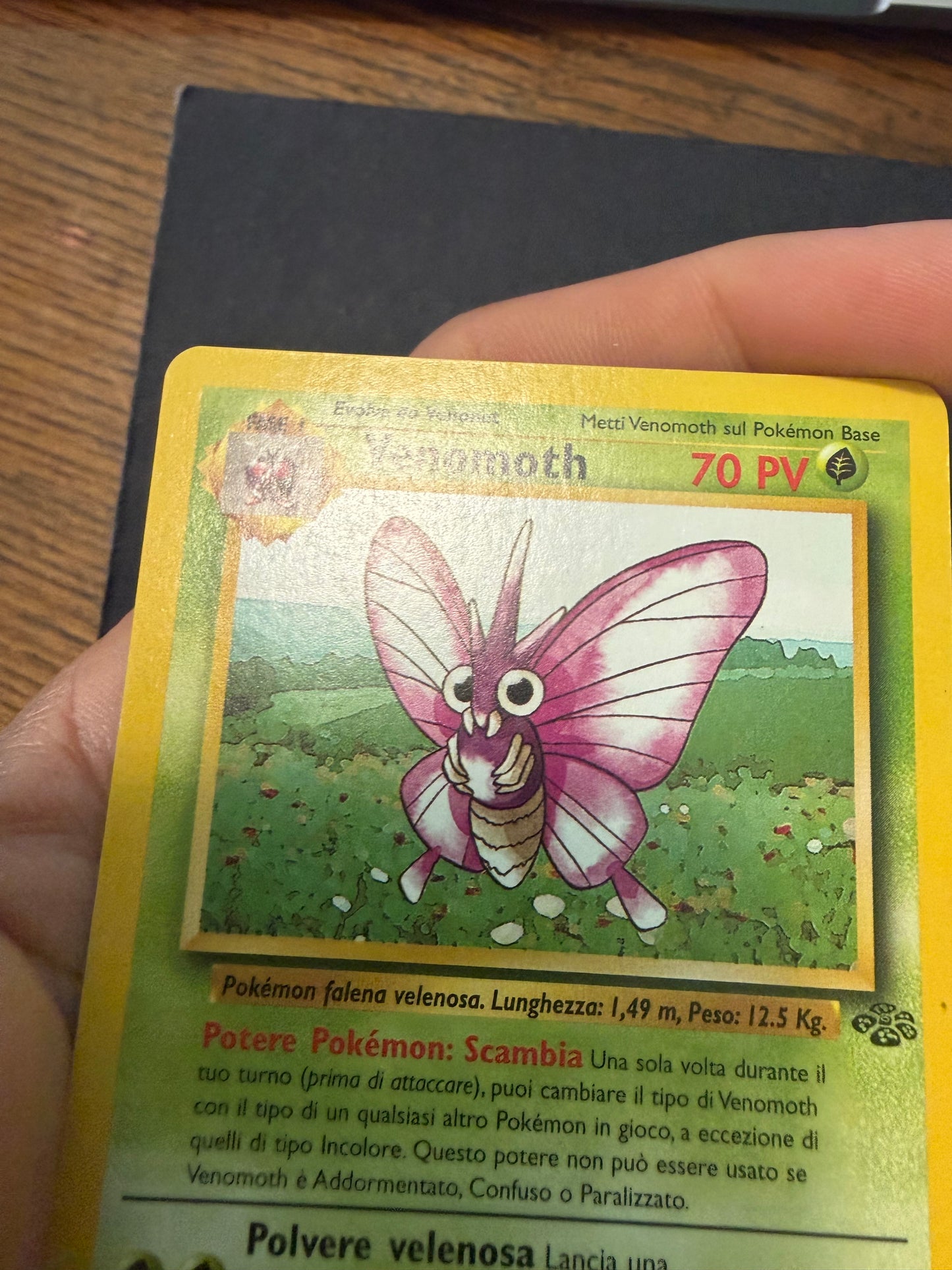 Venomoth (29/64)