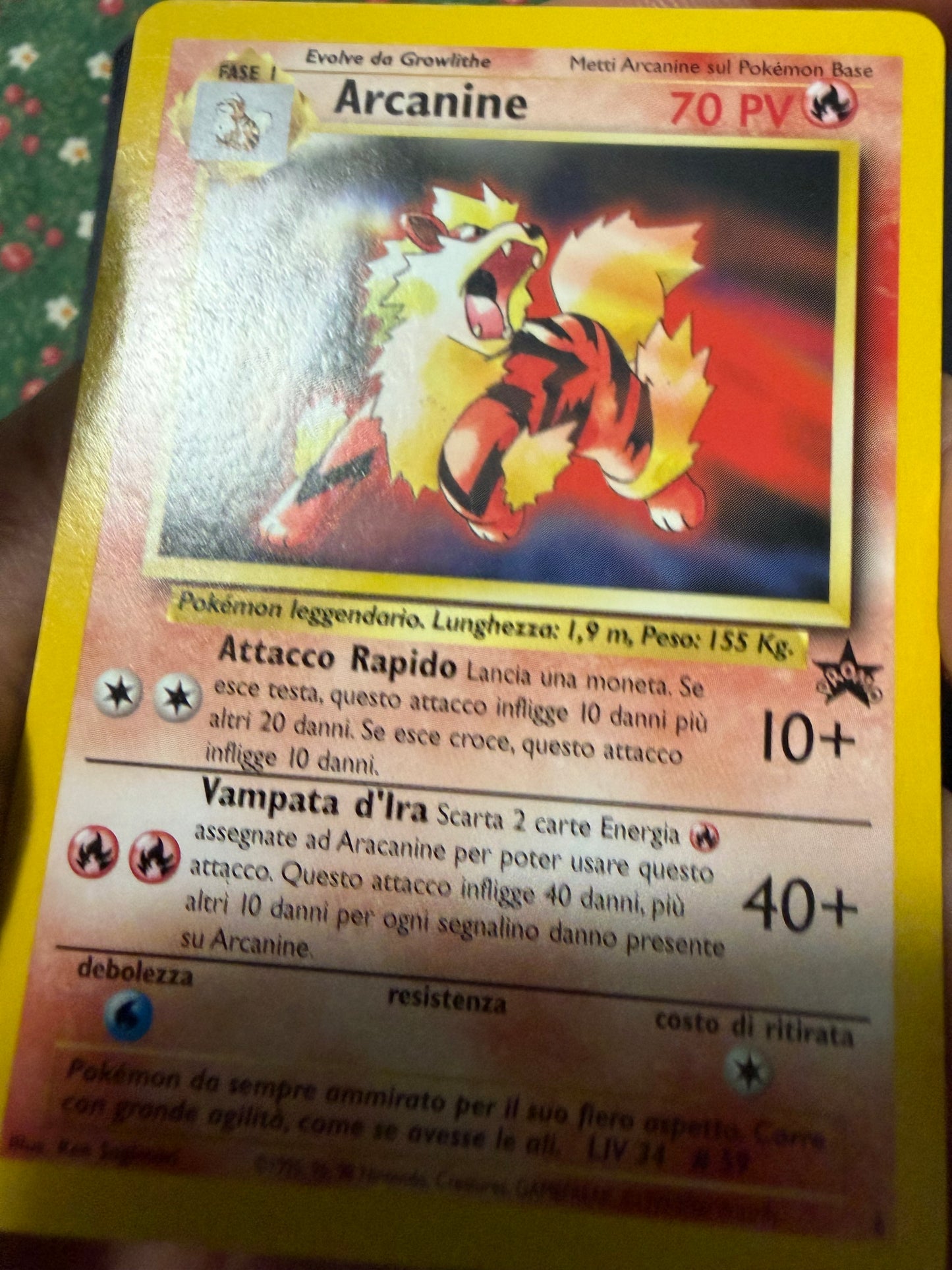 Arcanine 6