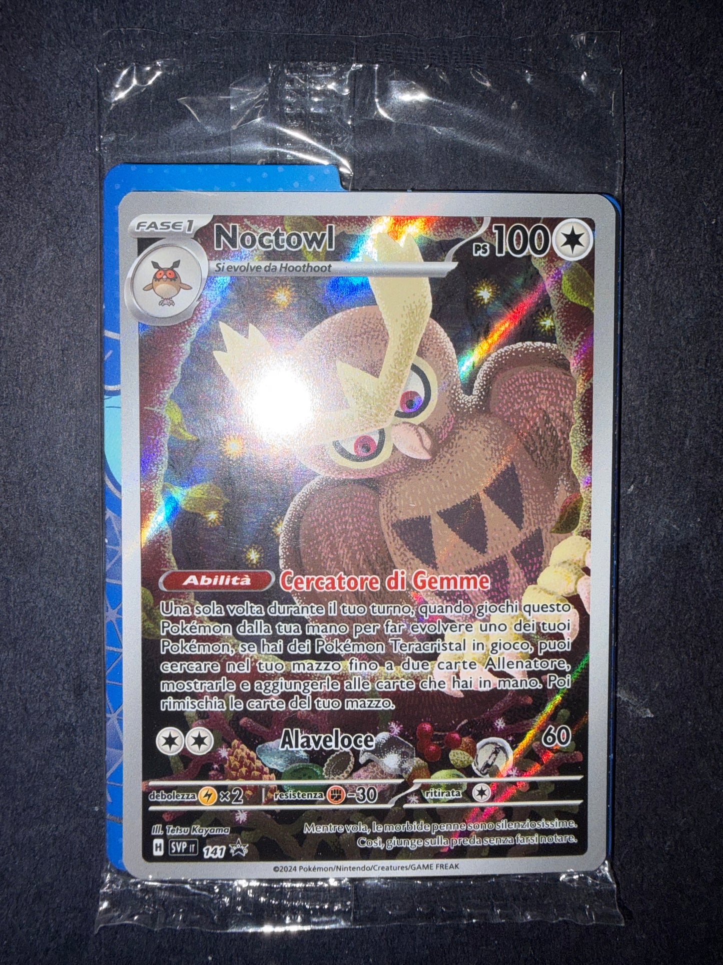 Noctowl(SVP 141)