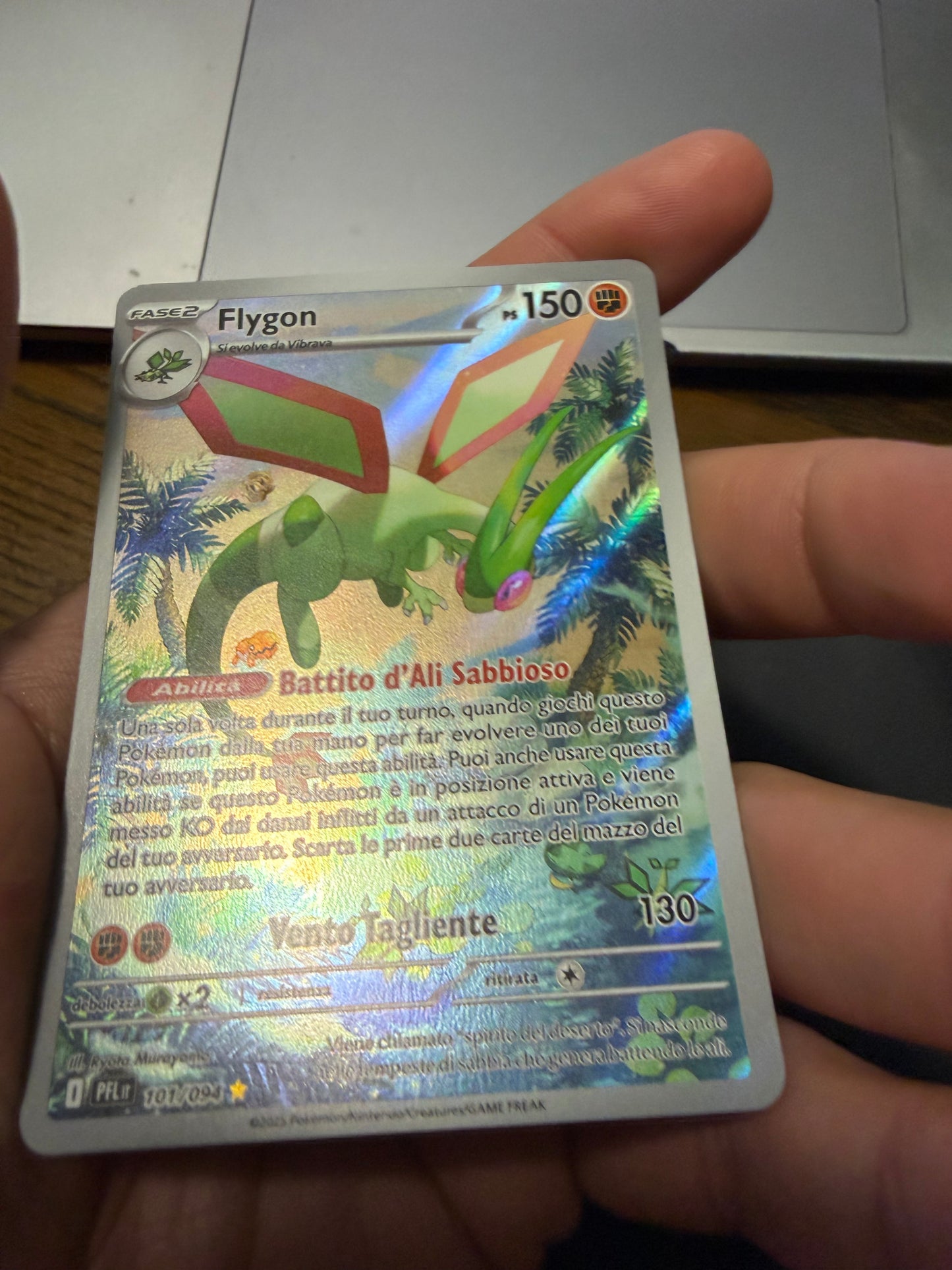 Flygon 101/094